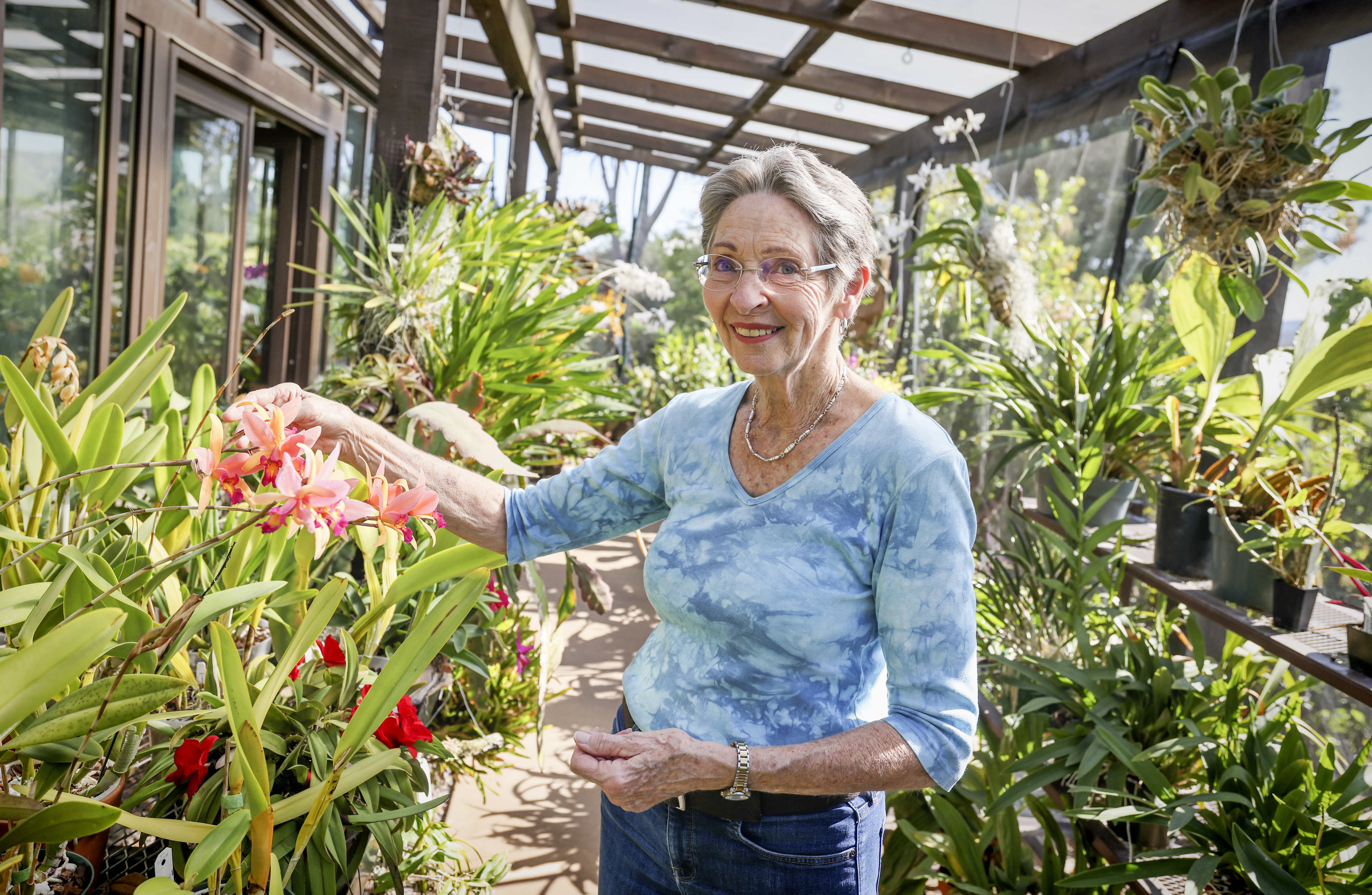 Orchids' gift is twofold: easy care, abundant beauty - Vimarsana News