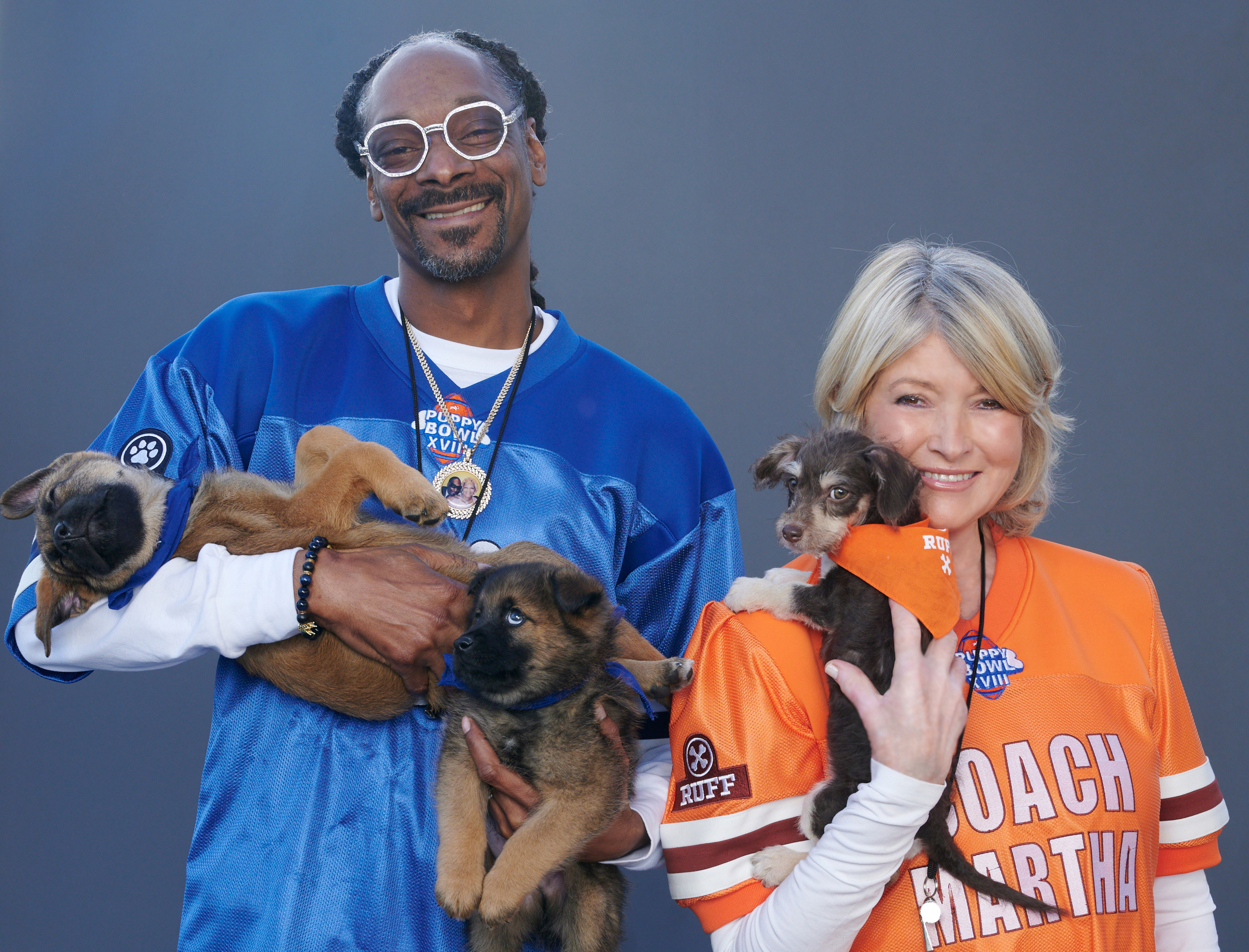 What to watch on TV: Super Bowl, NFL, Rams, dogs, puppies - Vimarsana News