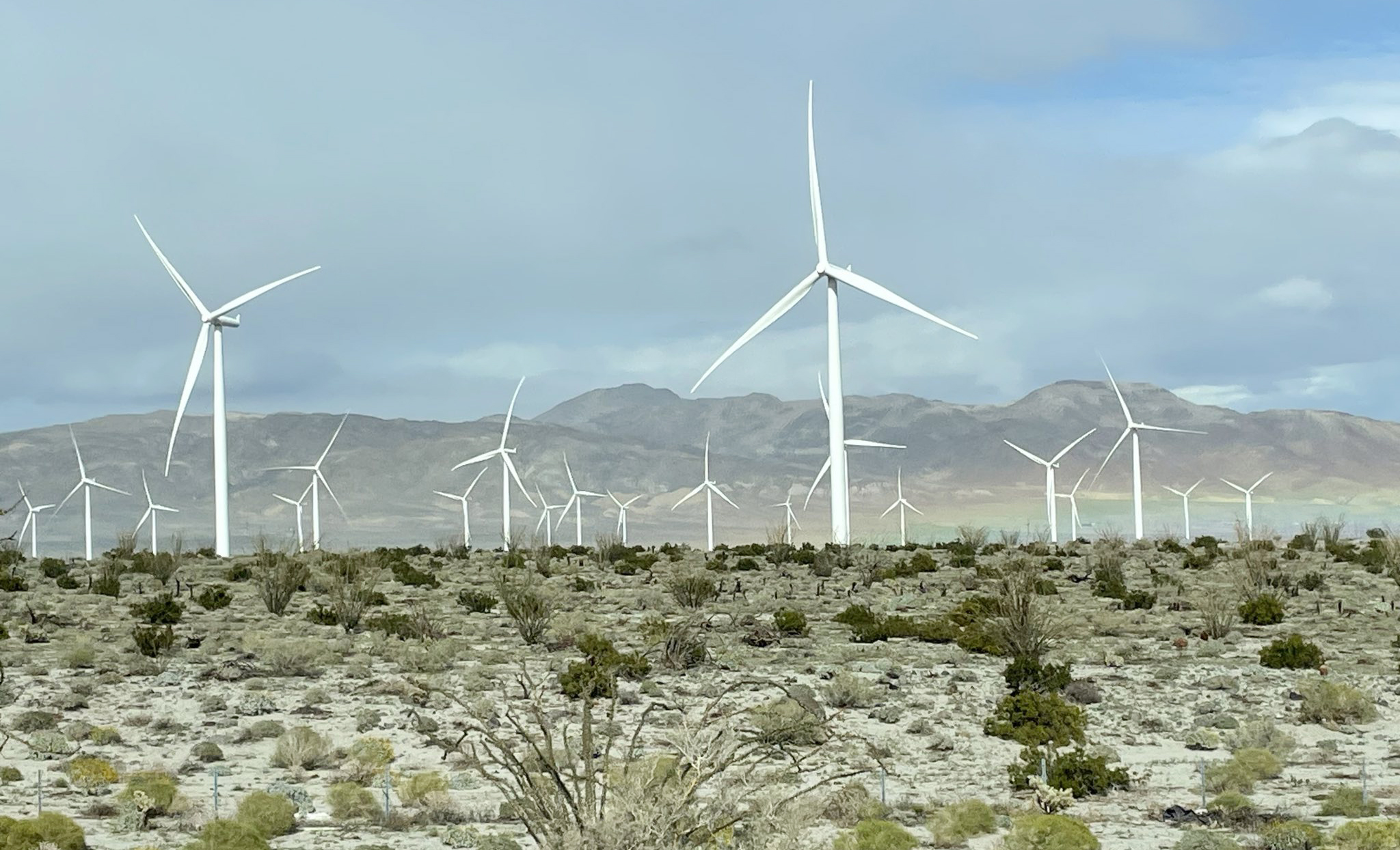 Column: Republicans oppose free markets to stymie investments in green energy - Vimarsana News