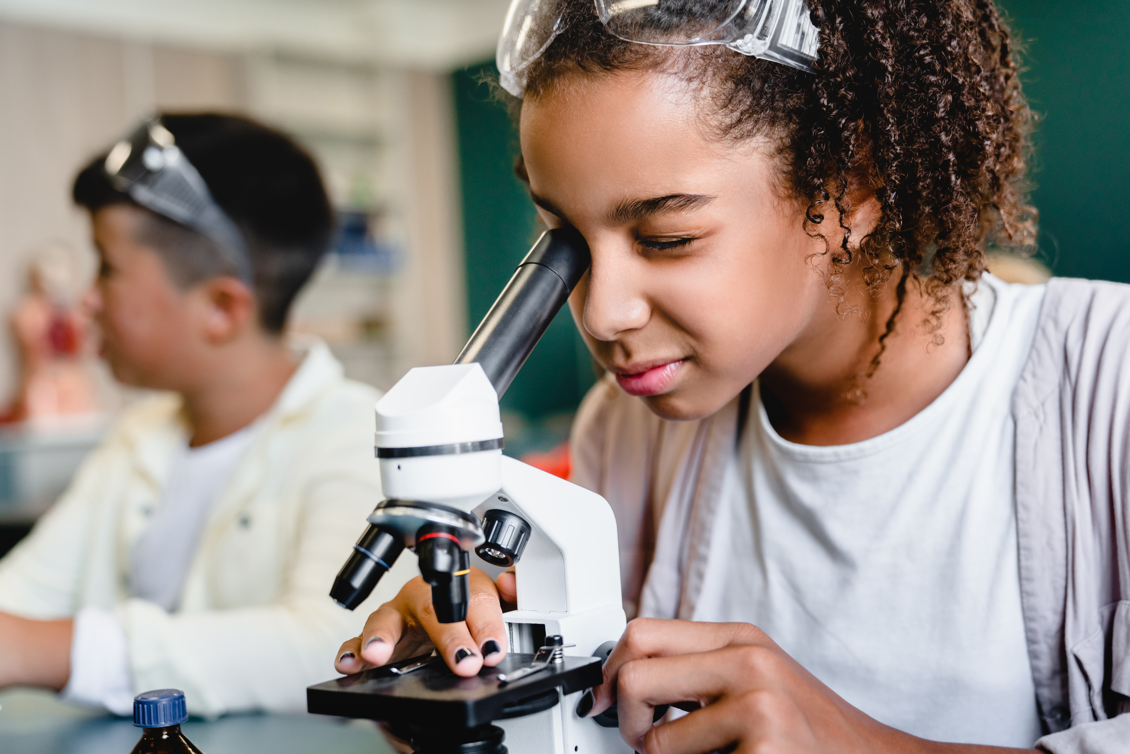 Nine county districts on 2023 California Distinguished Schools list - Vimarsana News