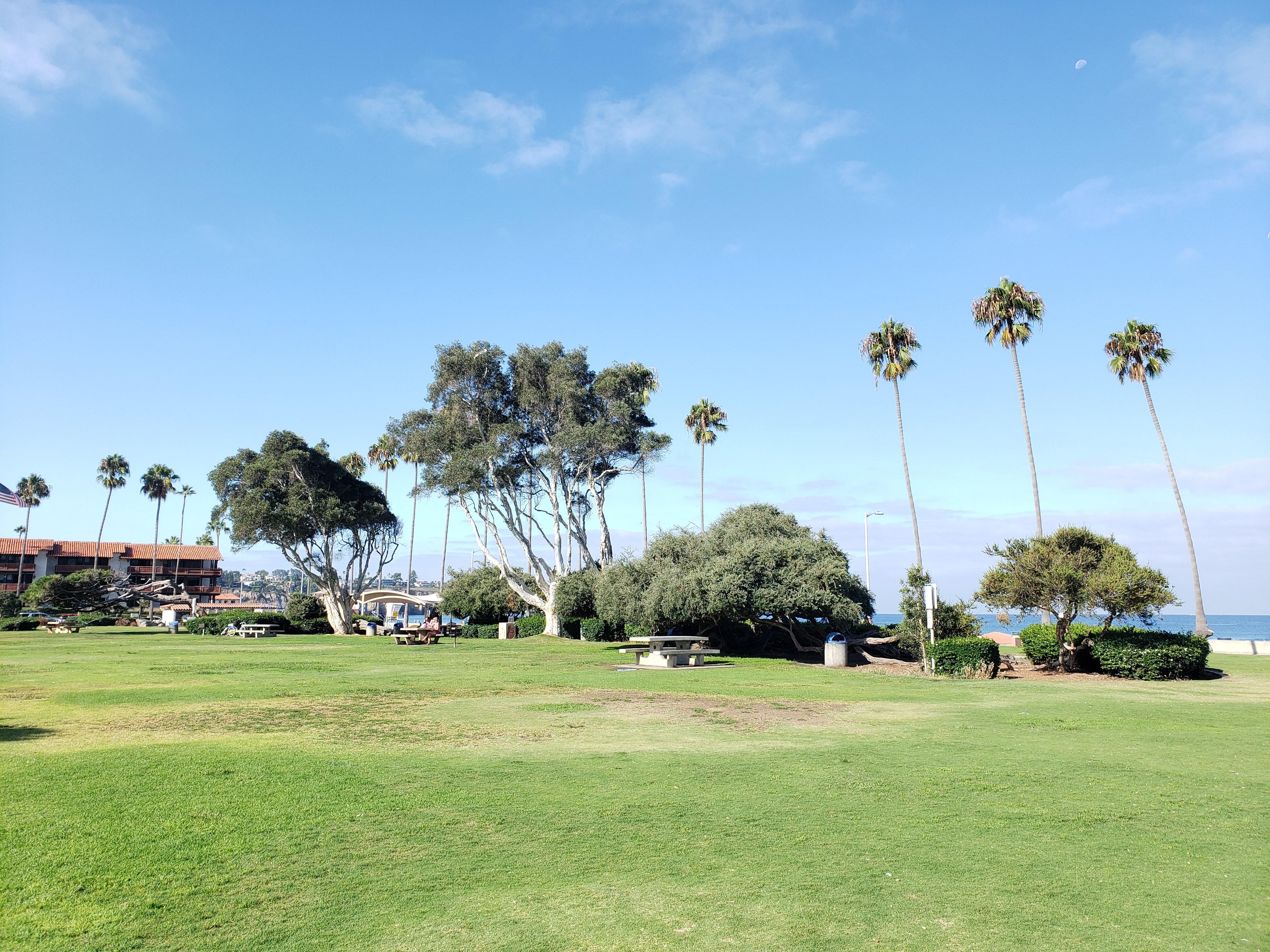 La Jolla Community Planning Association approves suggested revisions to San Diego parks master plan - Vimarsana News