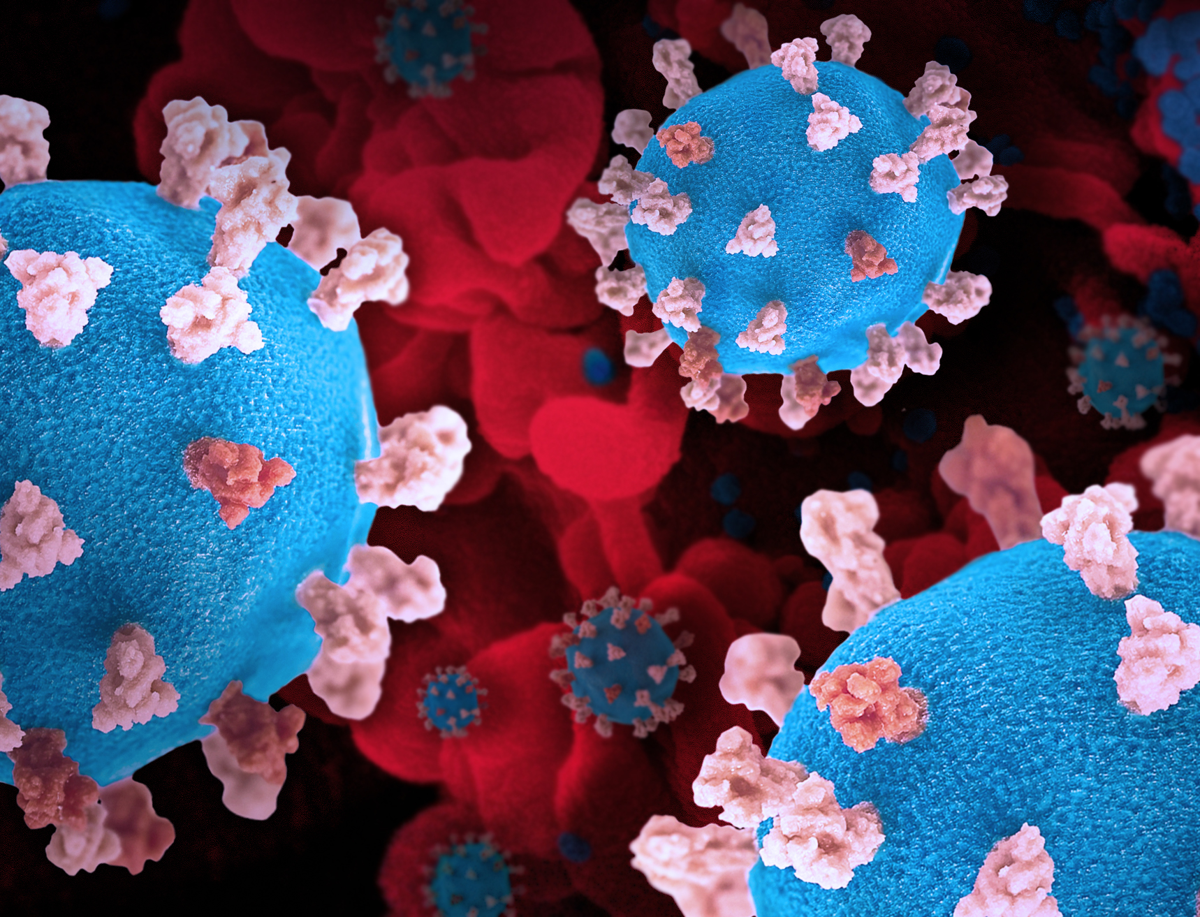 Experimental decoy drug tricks coronavirus, then destroys it - Vimarsana News