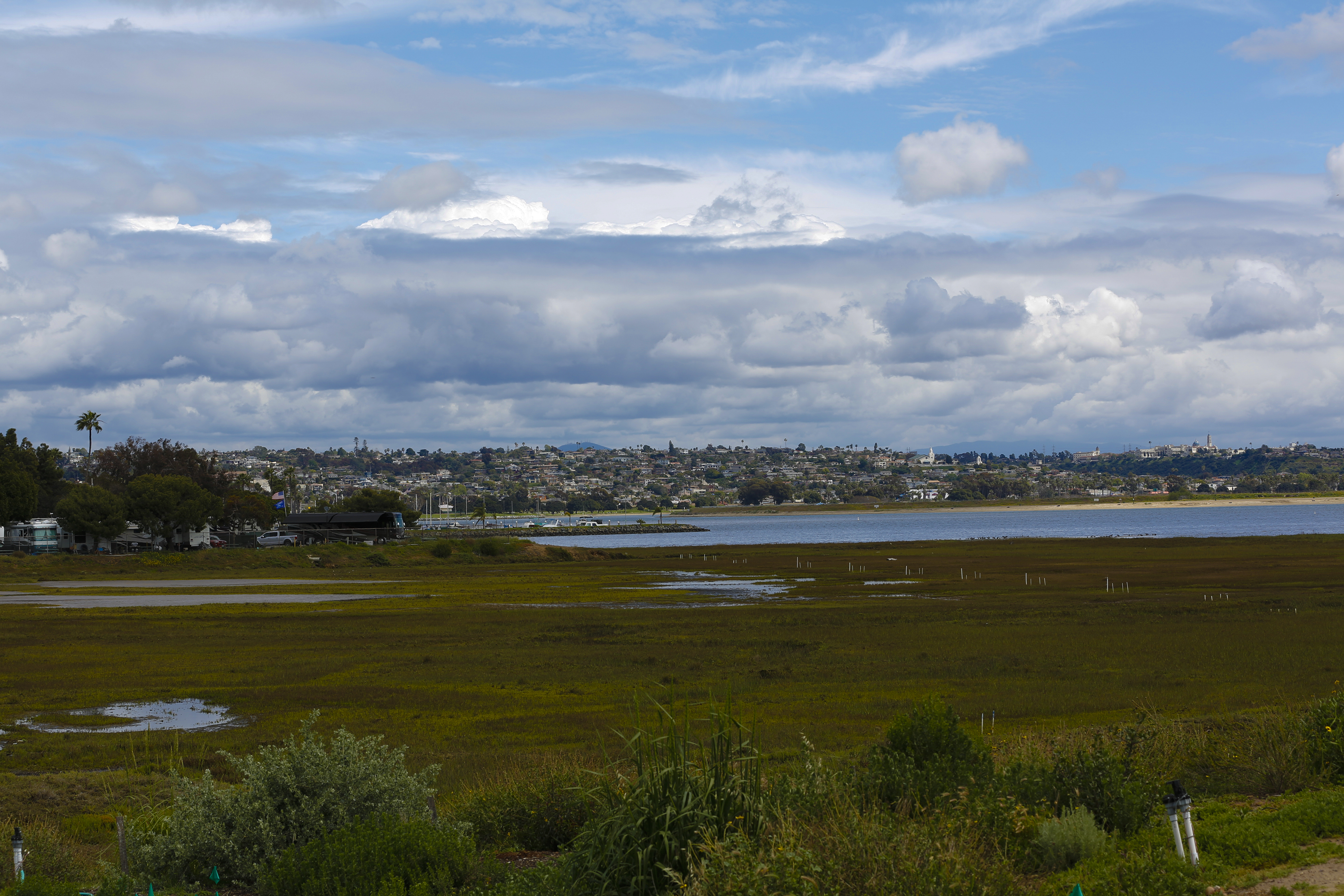 State Assembly bill could add 'blue carbon' step to development process in La Jolla - Vimarsana News
