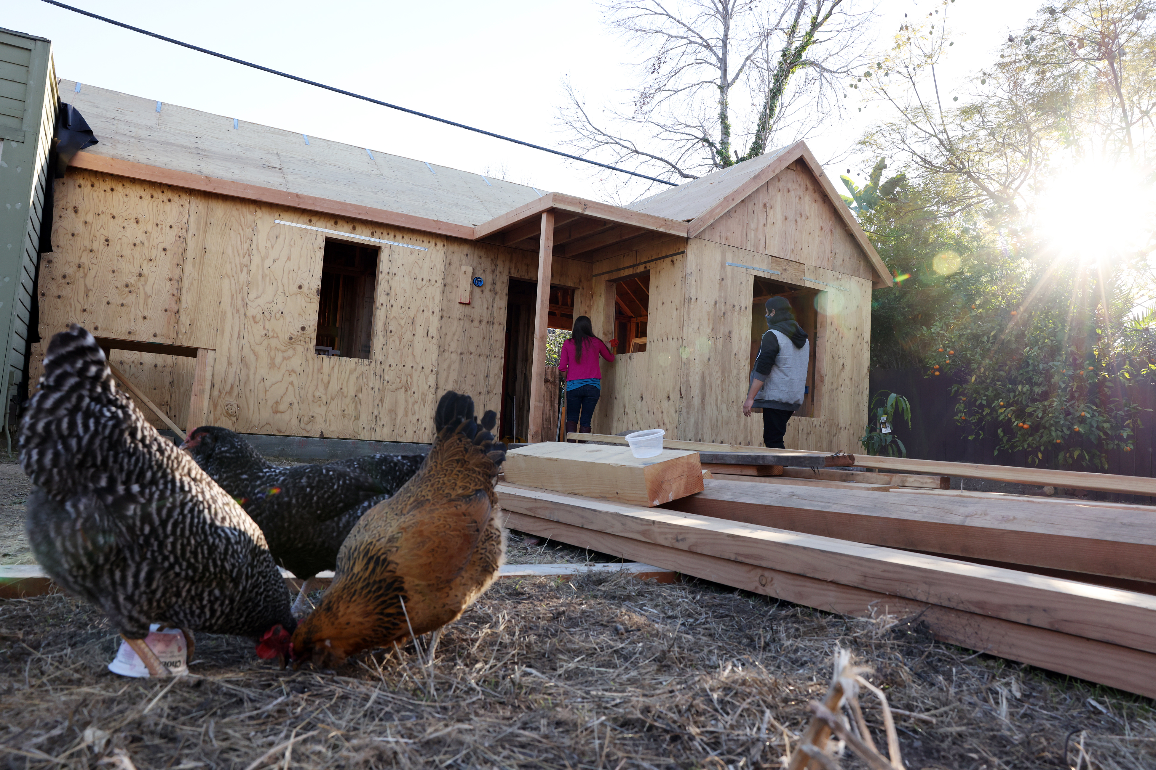 Backyard Homes Project: The ADU and affordable housing in L.A. - Vimarsana News