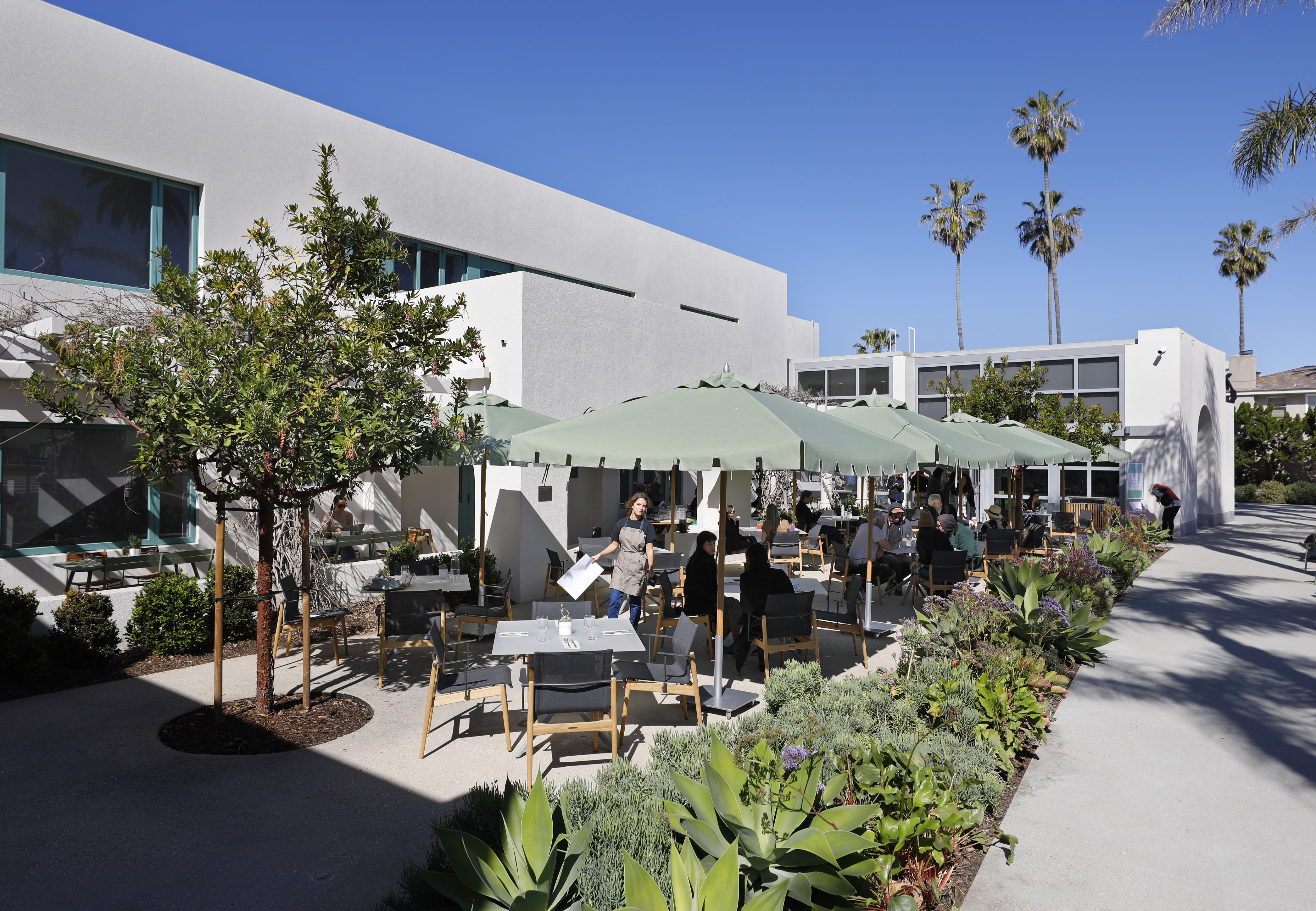 La Jolla's Museum of Contemporary Art gets new courtyard dining spot aft $105M renovation - Vimarsana News