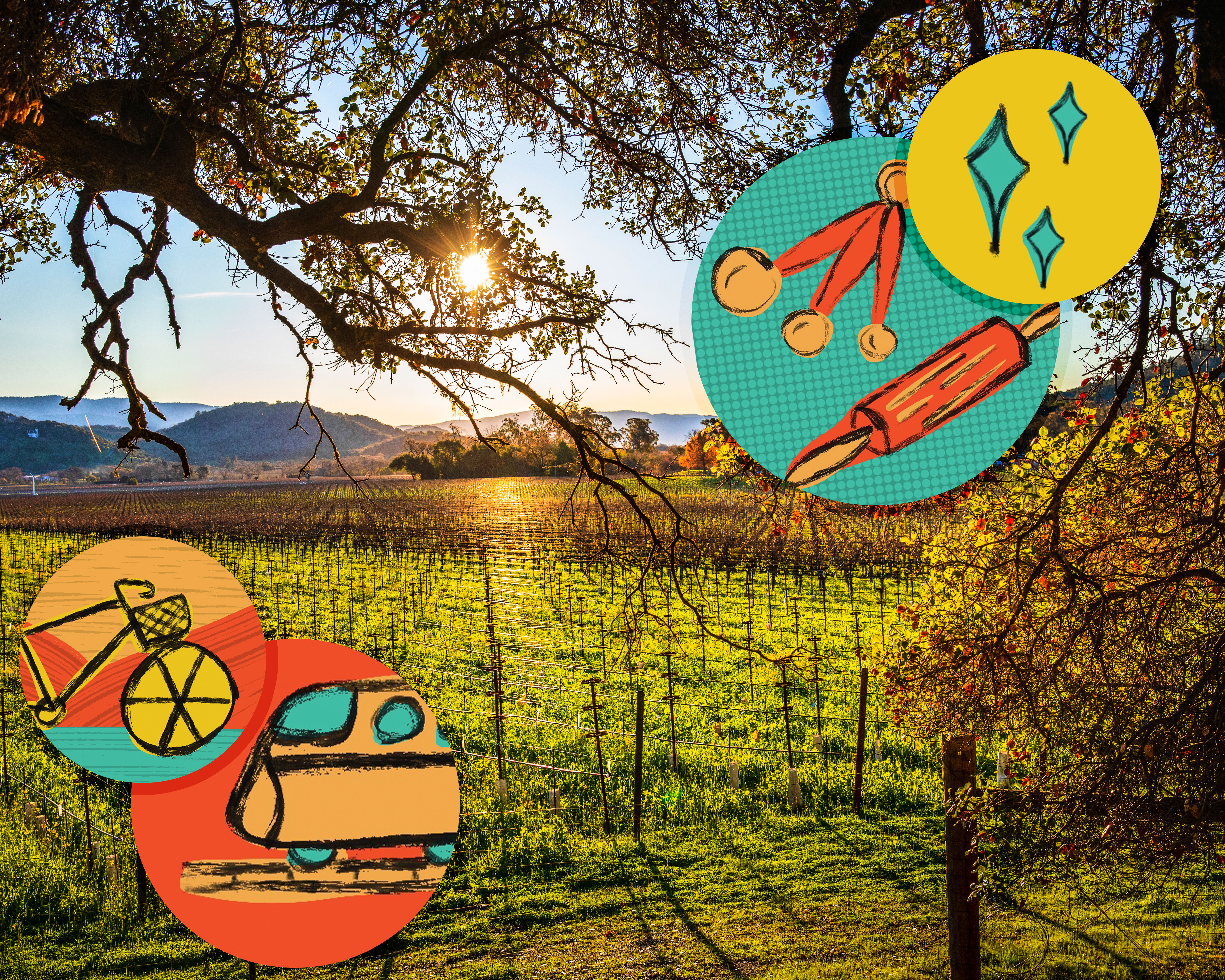 4 can't-miss Napa Valley activities (besides wine tasting) - Vimarsana News