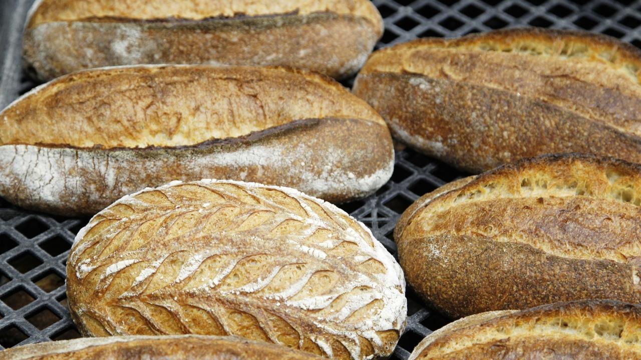 Baking brothers expand old world traditions - Vimarsana News