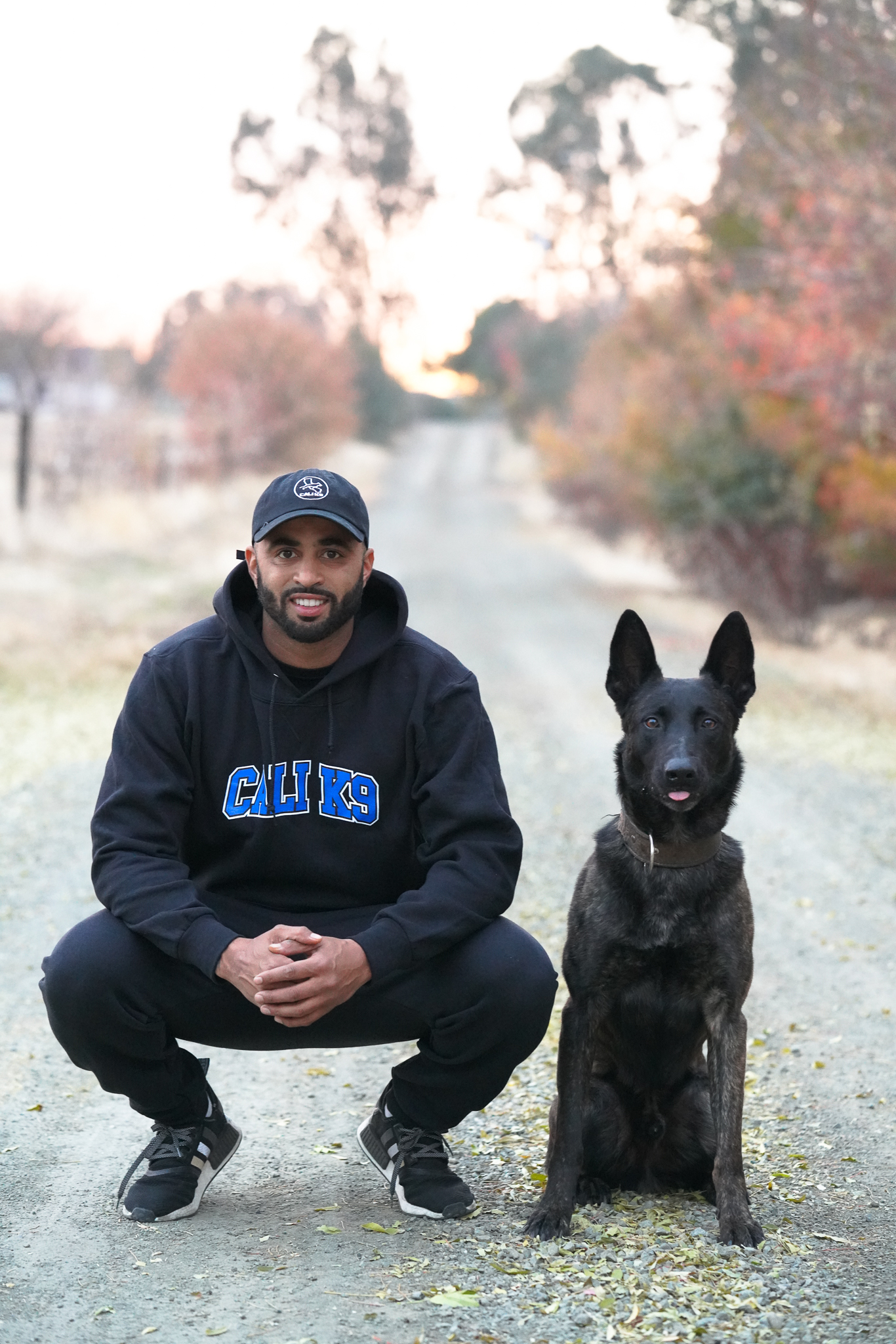 Why 'Canine Intervention' on Netflix trains humans, not dogs - Vimarsana News