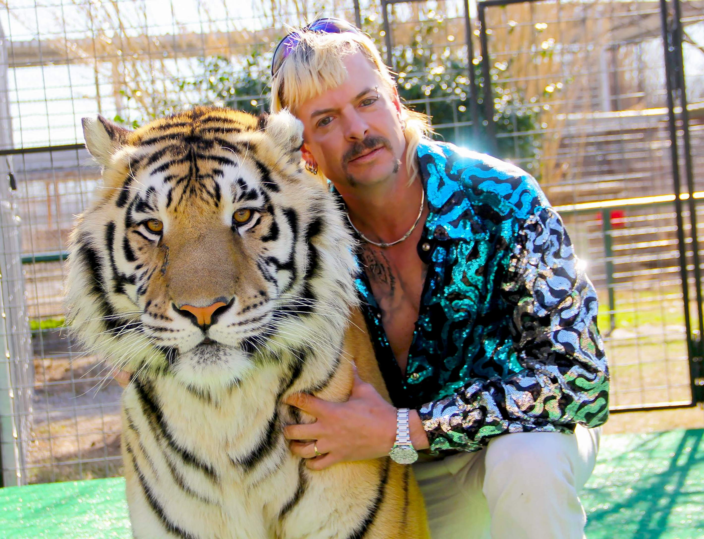 Joe Exotic: I was 'too innocent and too GAY' for Trump pardon - Vimarsana News