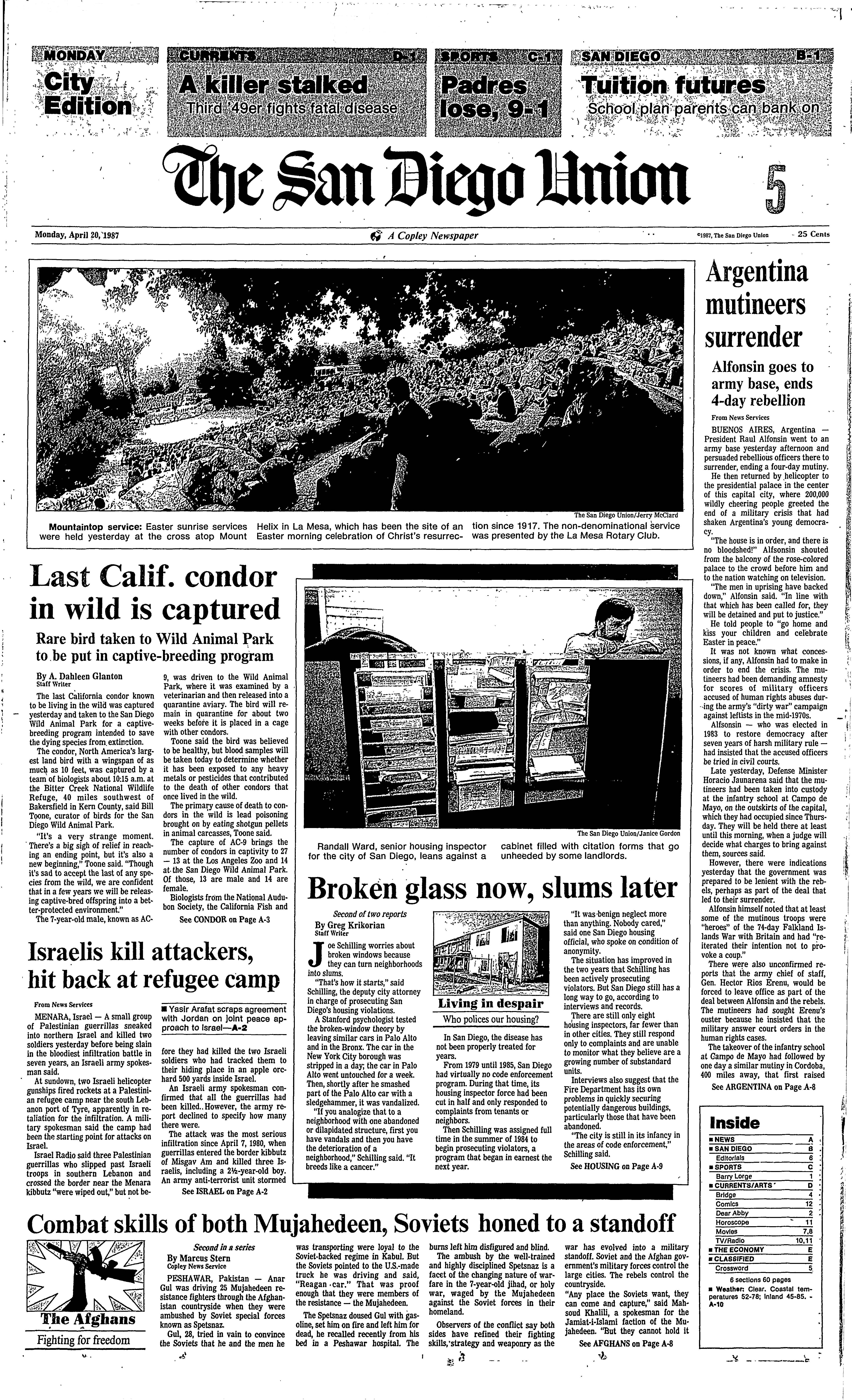 From the Archives: Last California Condor in the wild was captured in 1987 - Vimarsana News
