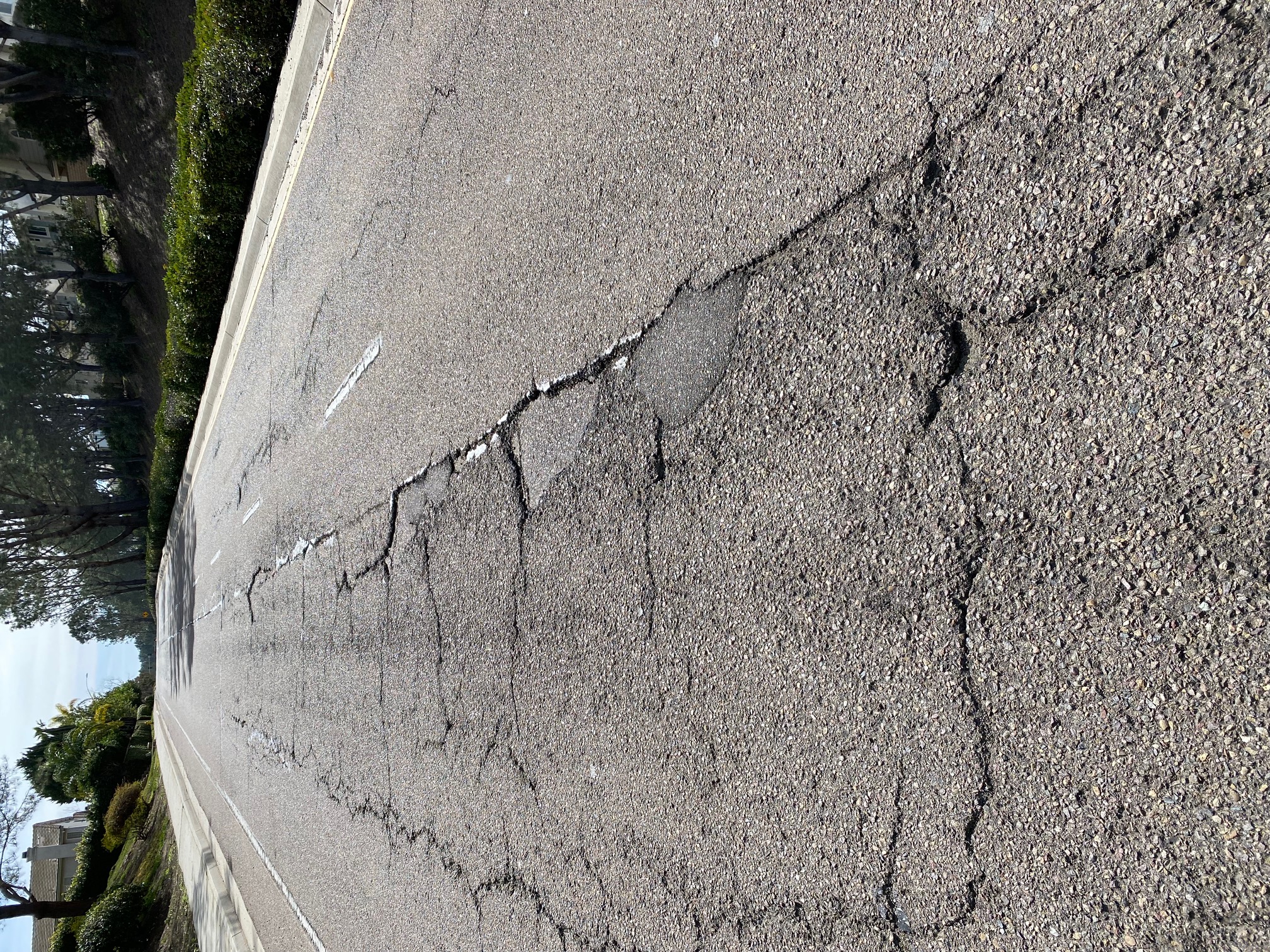 Carmel Valley residents request repairs on local streets - Vimarsana News