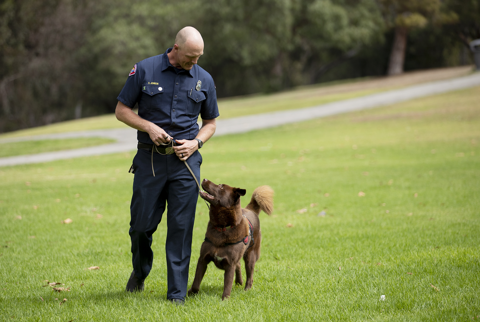 Huntington Beach Fire Department peer support dog Kingman gets a round of a-paws - Vimarsana News
