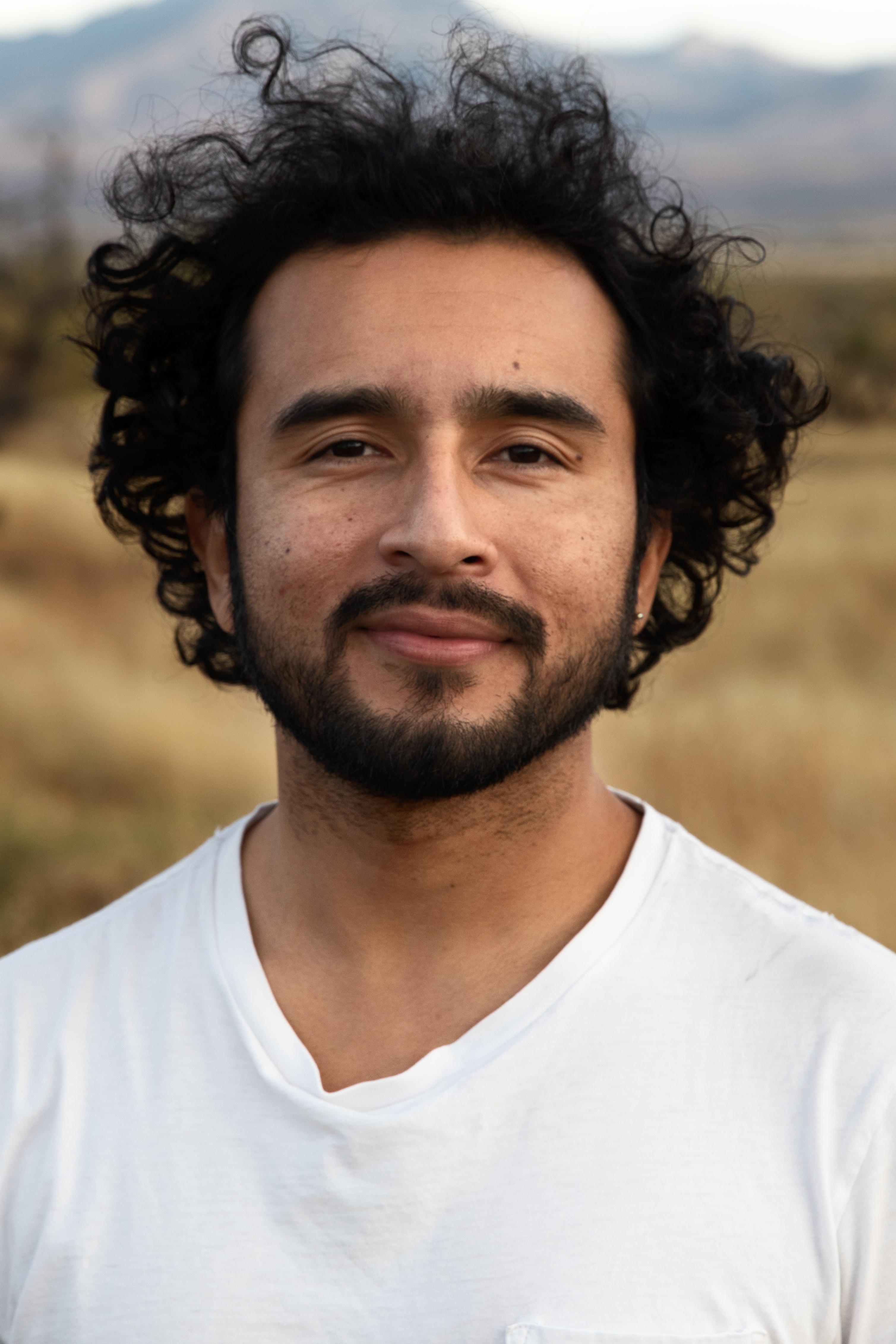 Undocupoets helps immigrant poets regardless of legal status - Vimarsana News