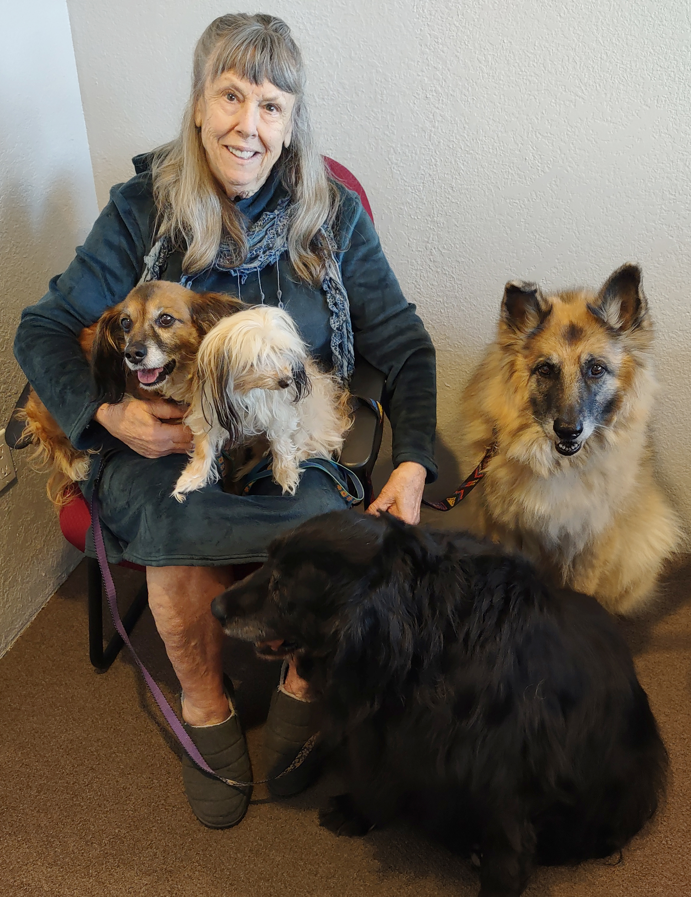 Community Hero: Rescuing animals a lifelong ambition for Ramona resident - Vimarsana News