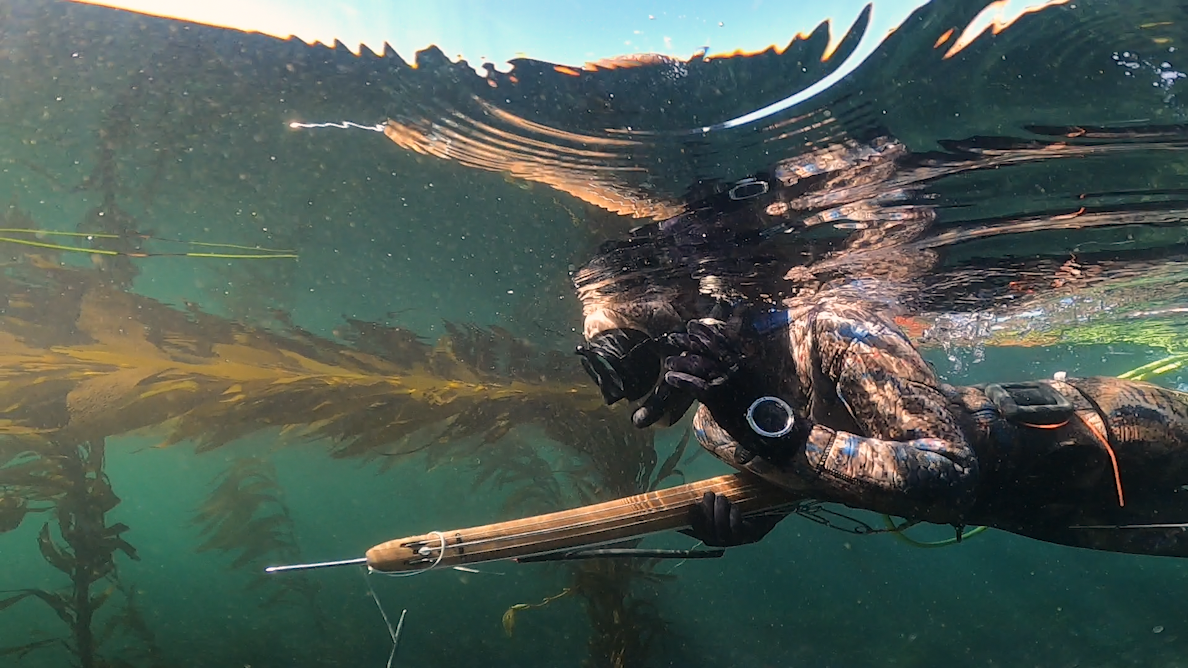 Spearfishing champ blazes trails for women divers, sustainability - Vimarsana News