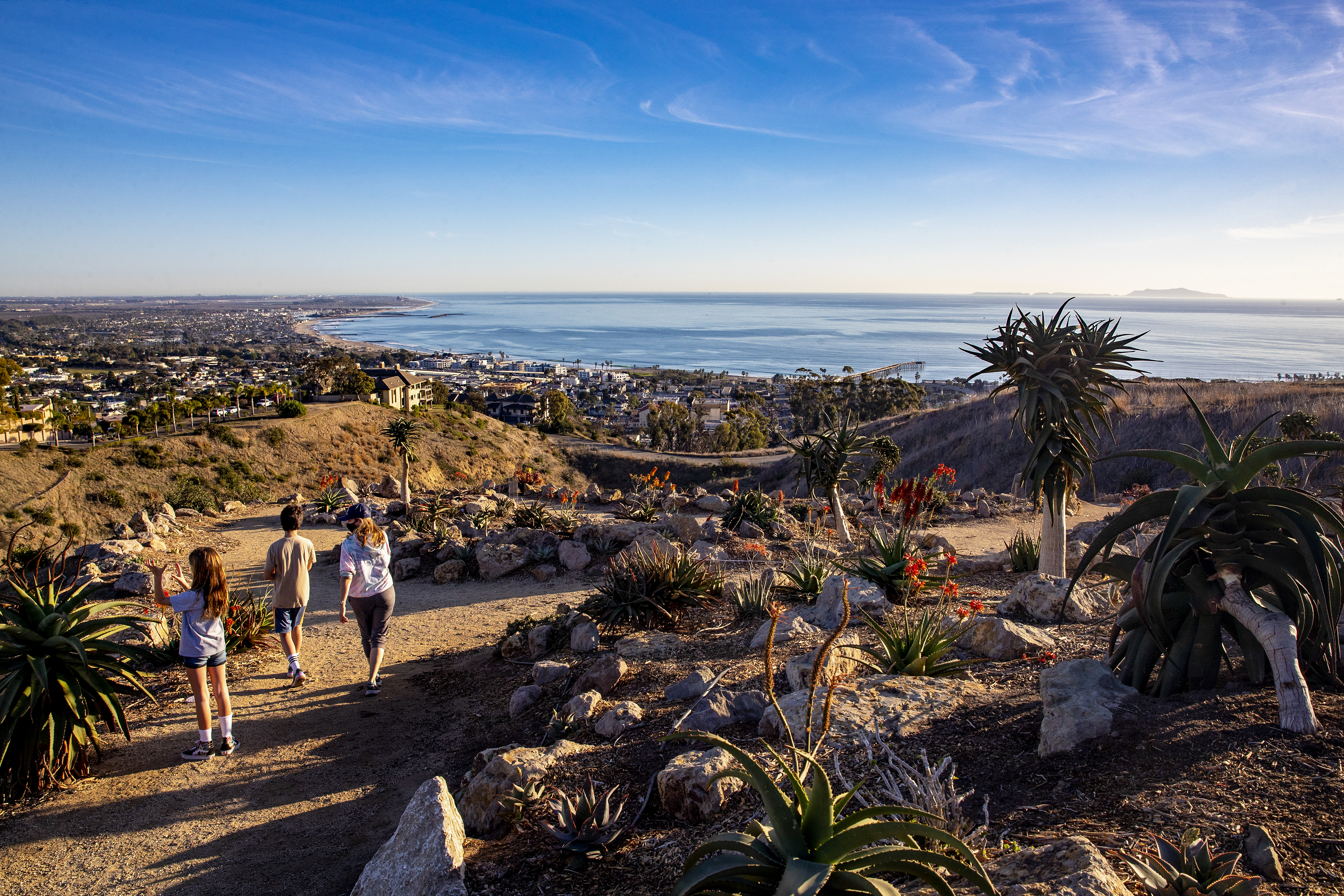 February L.A. activities: Van Gogh exhibit, Santa Monica Pier - Vimarsana News