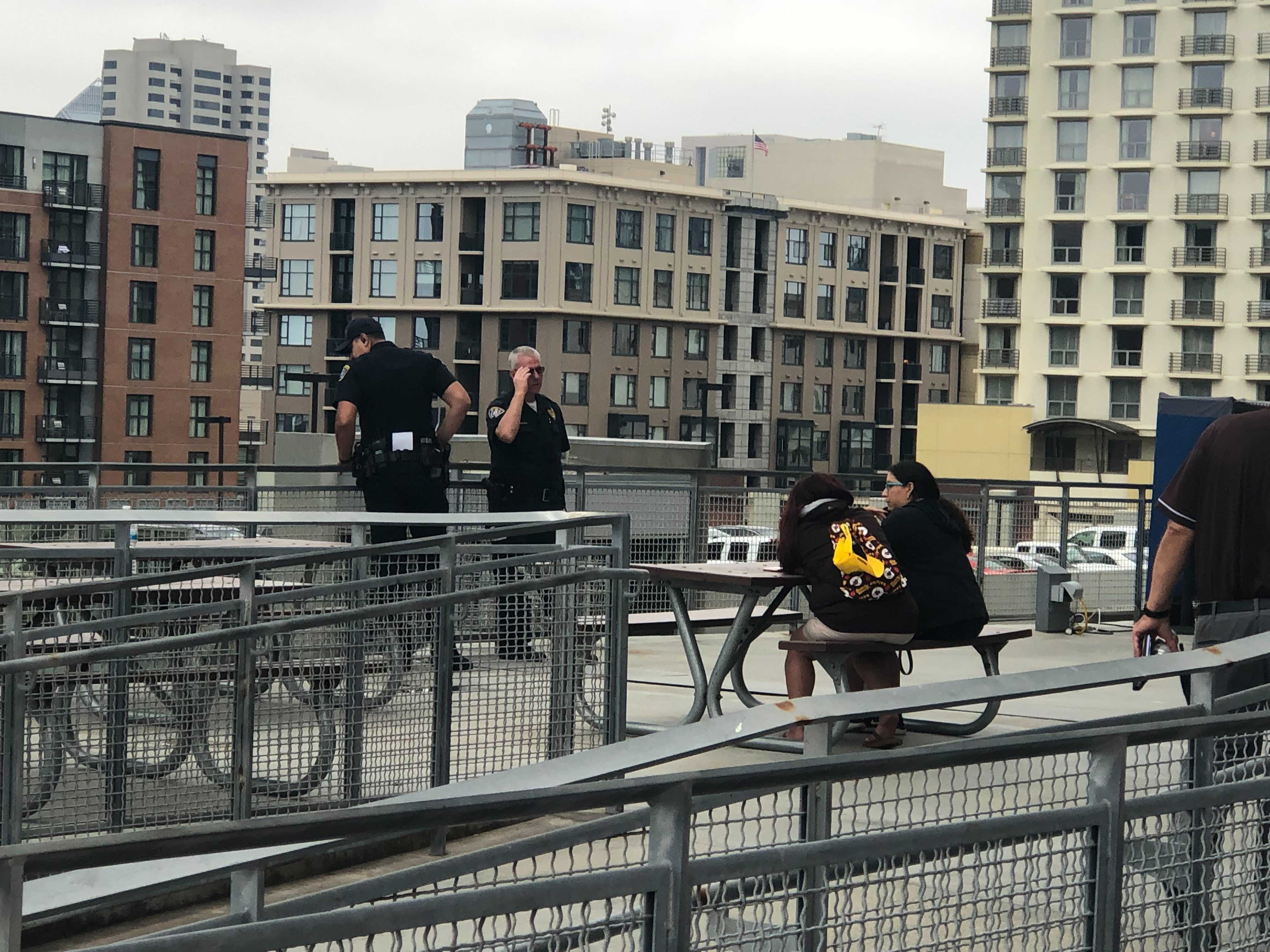 Police ID mother, toddler who fell to their deaths at Petco Park; investigation ongoing - Vimarsana News