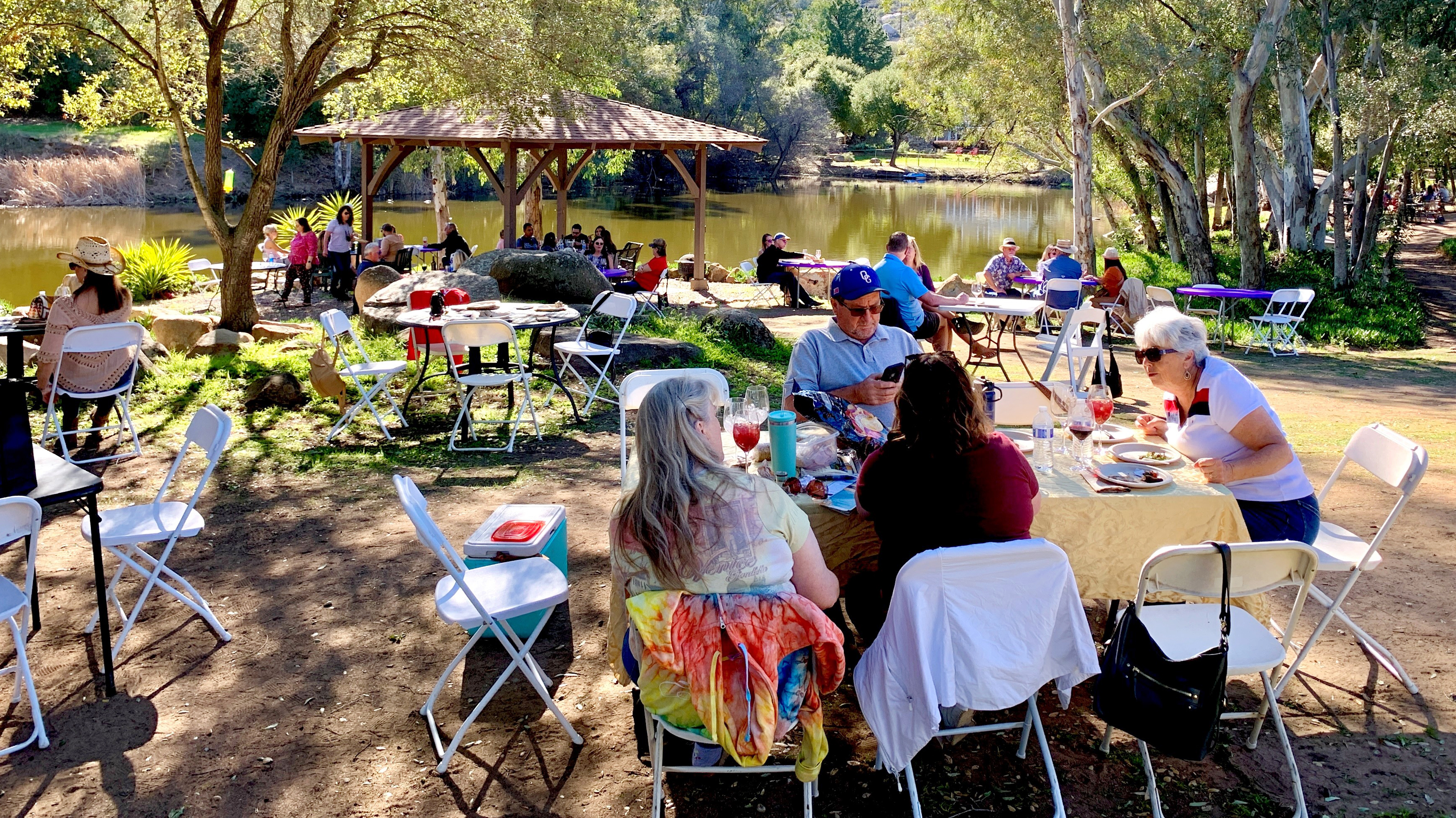 Vines & Wines: Ramona wineries think outside the box to market their businesses - Vimarsana News