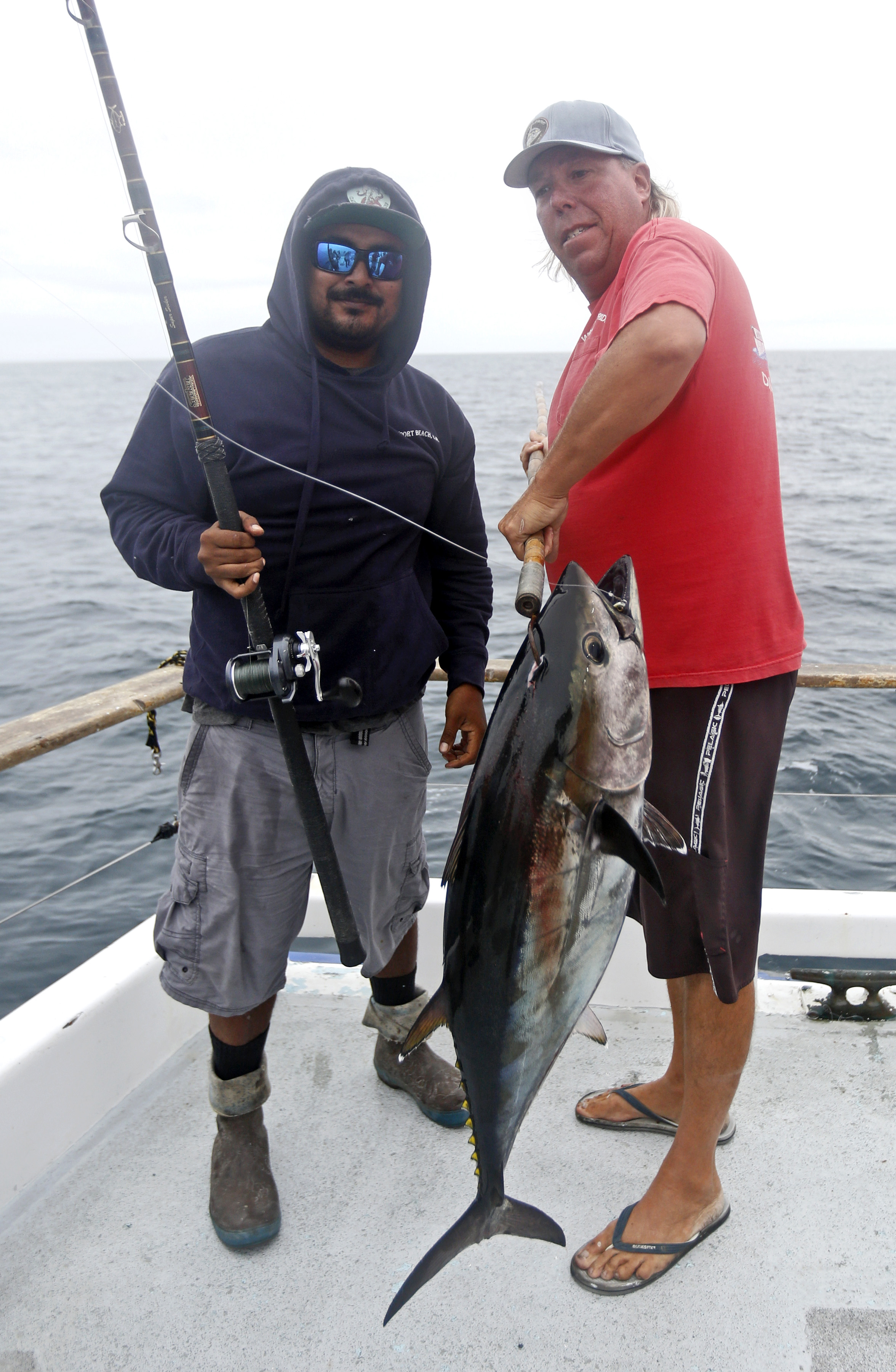 Easier found than caught: local fishermen tested by bluefin tuna - Vimarsana News