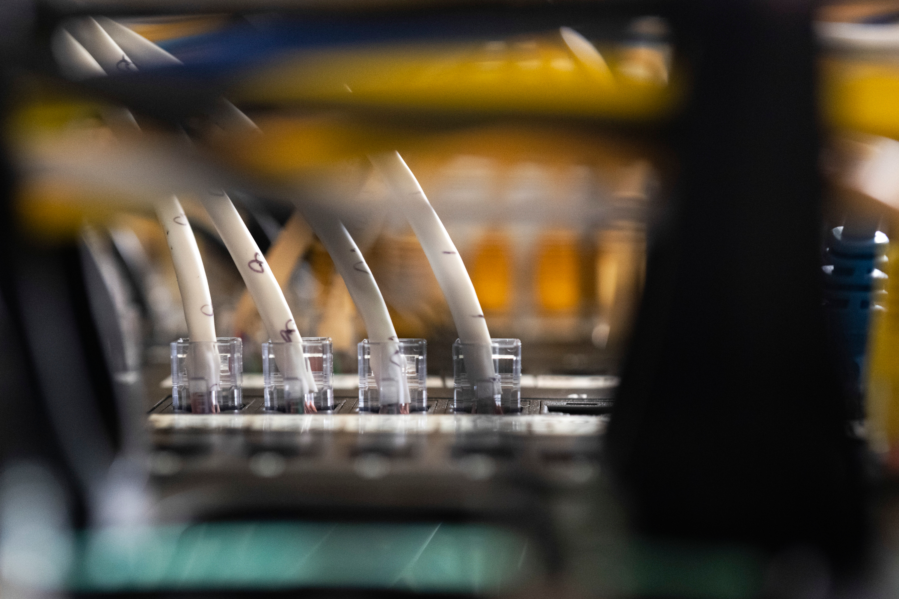 How AI helped expose critical flaws in the code powering most websites