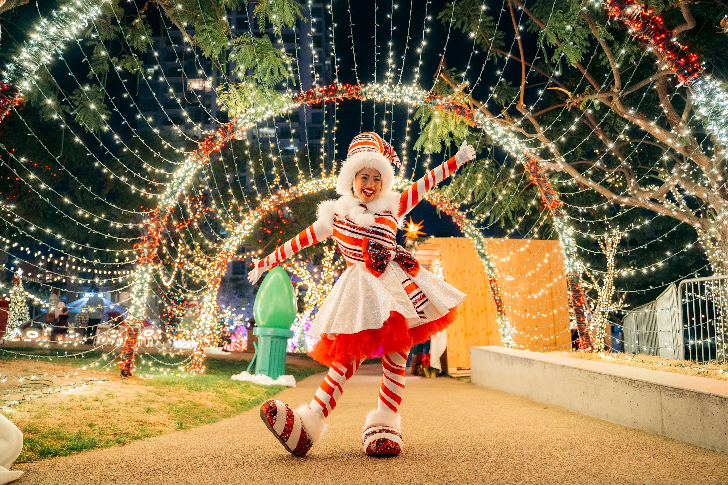 The best things to do this weekend in San Diego: Dec. 1-4 - Vimarsana News
