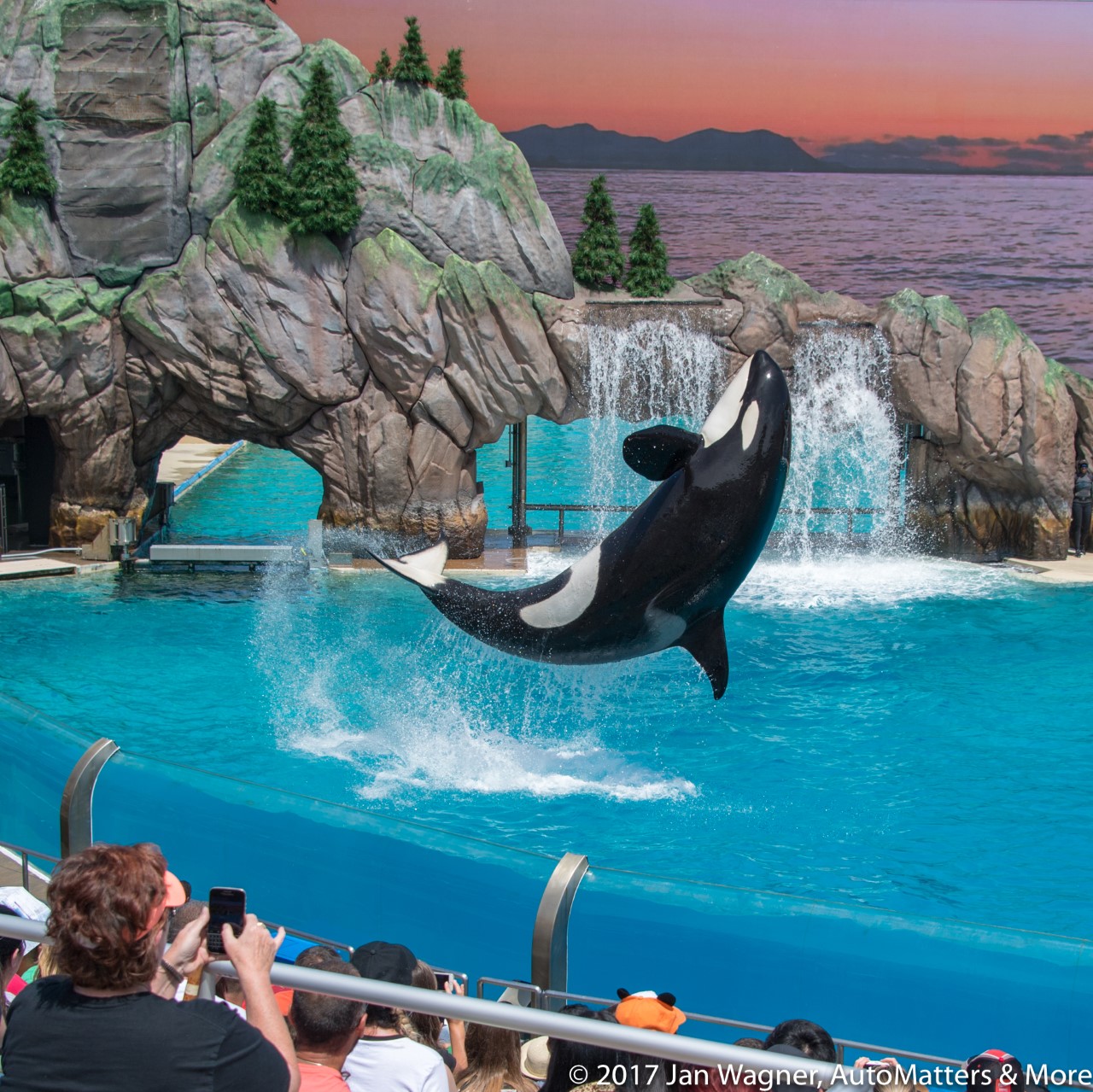 AutoMatters & More: SeaWorld San Diego continues to broaden its appeal as a SoCal theme park - Vimarsana News