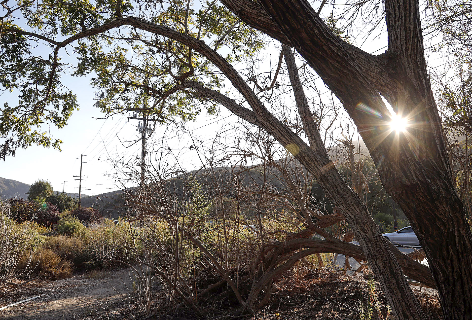 DeWitt Habitat Restoration Project benefits from private donations - Vimarsana News