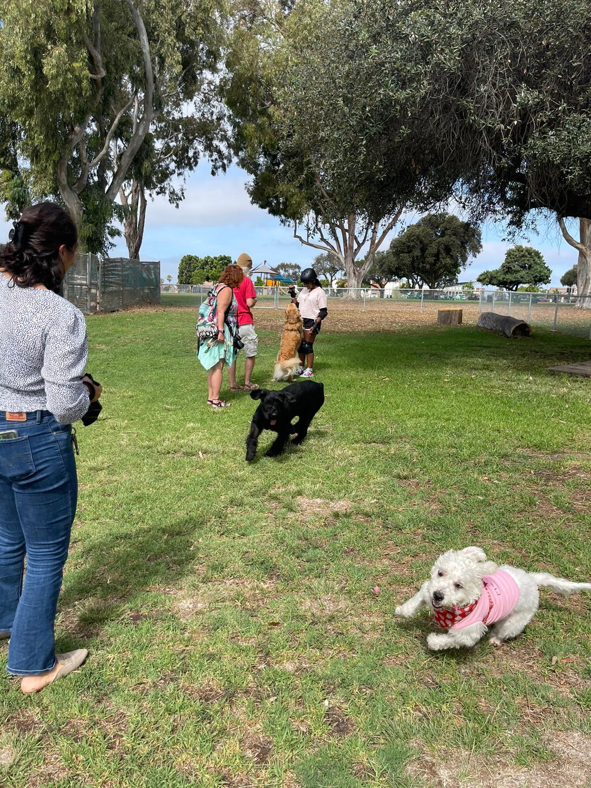 Southeastern San Diego's first dog park brings new services for people and pets - Vimarsana News