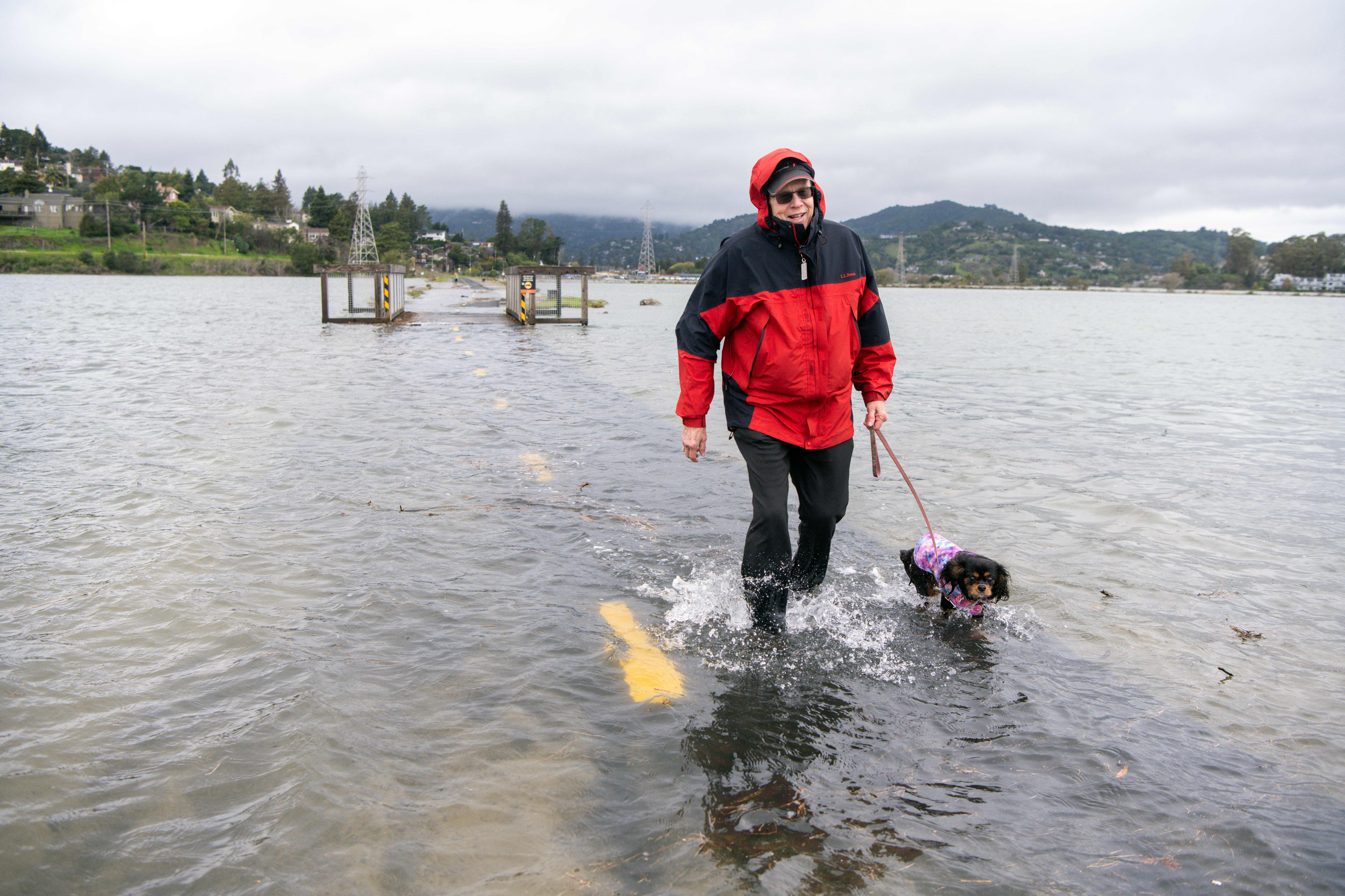 New sea level rise maps show hidden flood risk in Bay Area - Vimarsana News