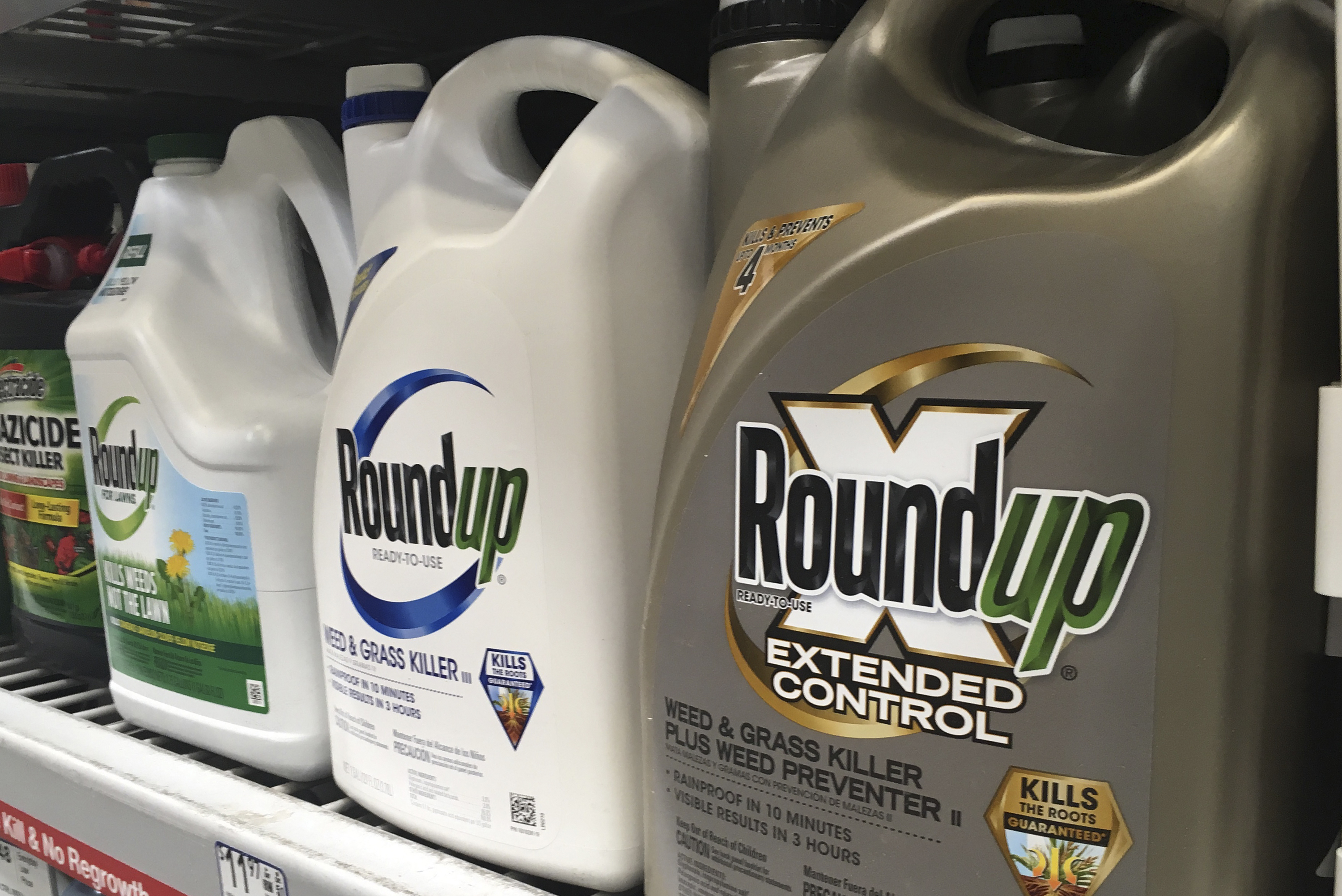 Court upholds $25-million Roundup verdict against Monsanto - Vimarsana News