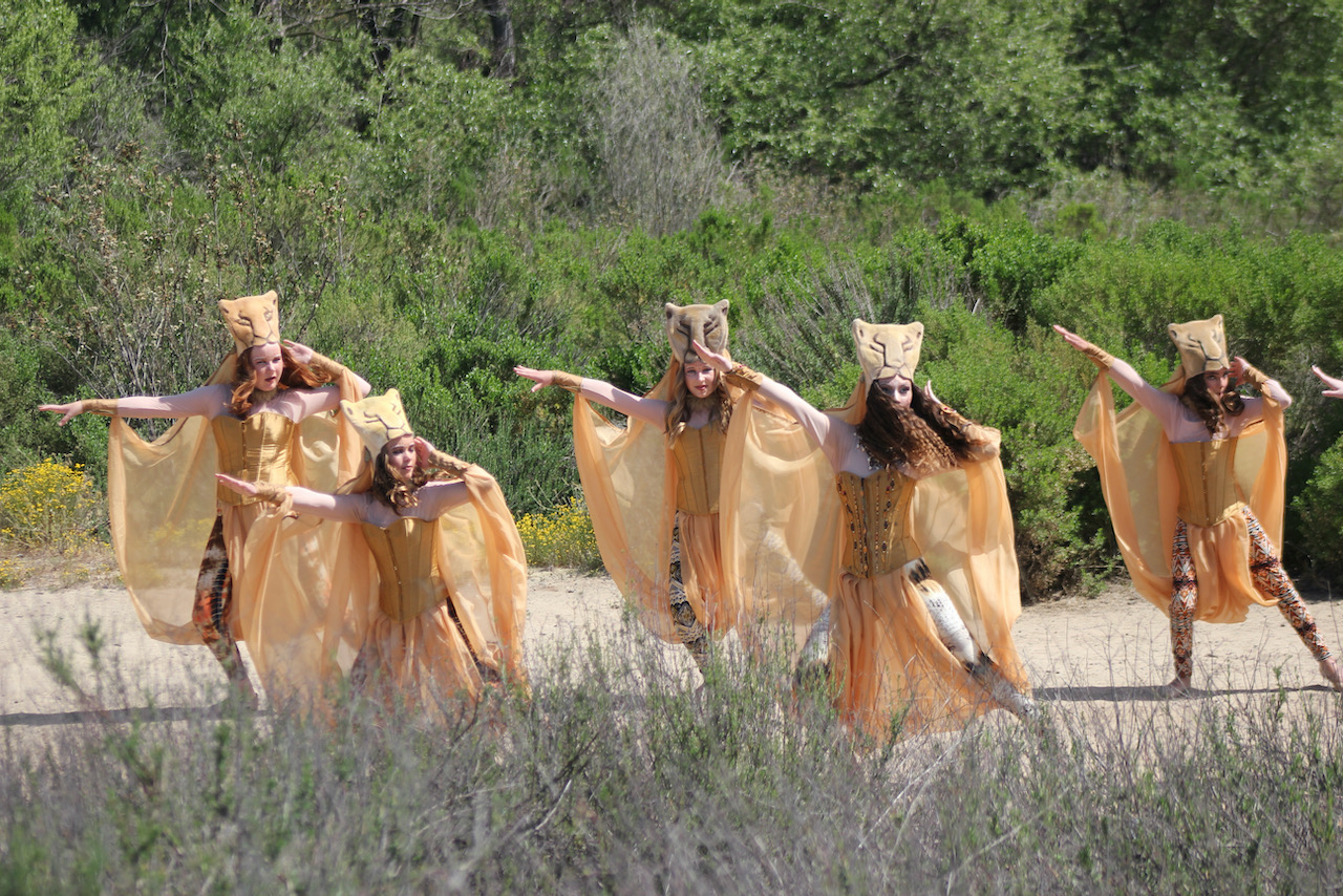 North County School News, May 2 - Vimarsana News