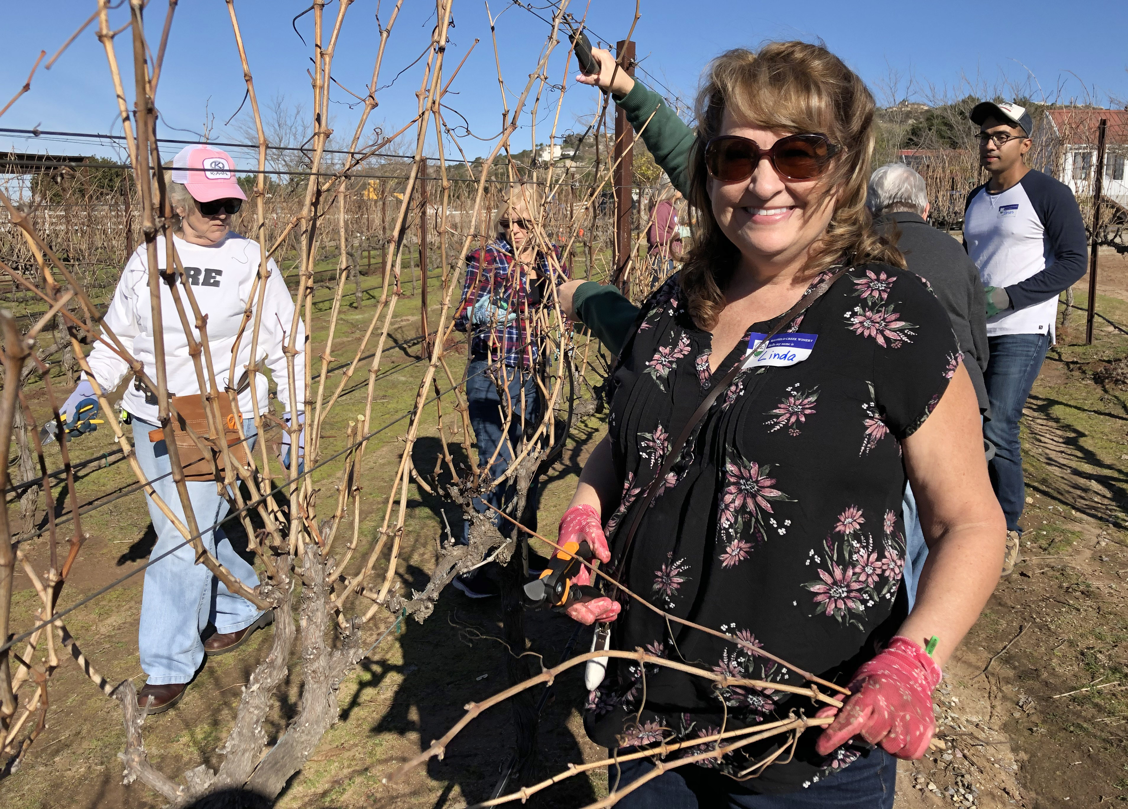 Students learn the art of viticulture and wine making in Ramona winery's Vines to Wines class - Vimarsana News