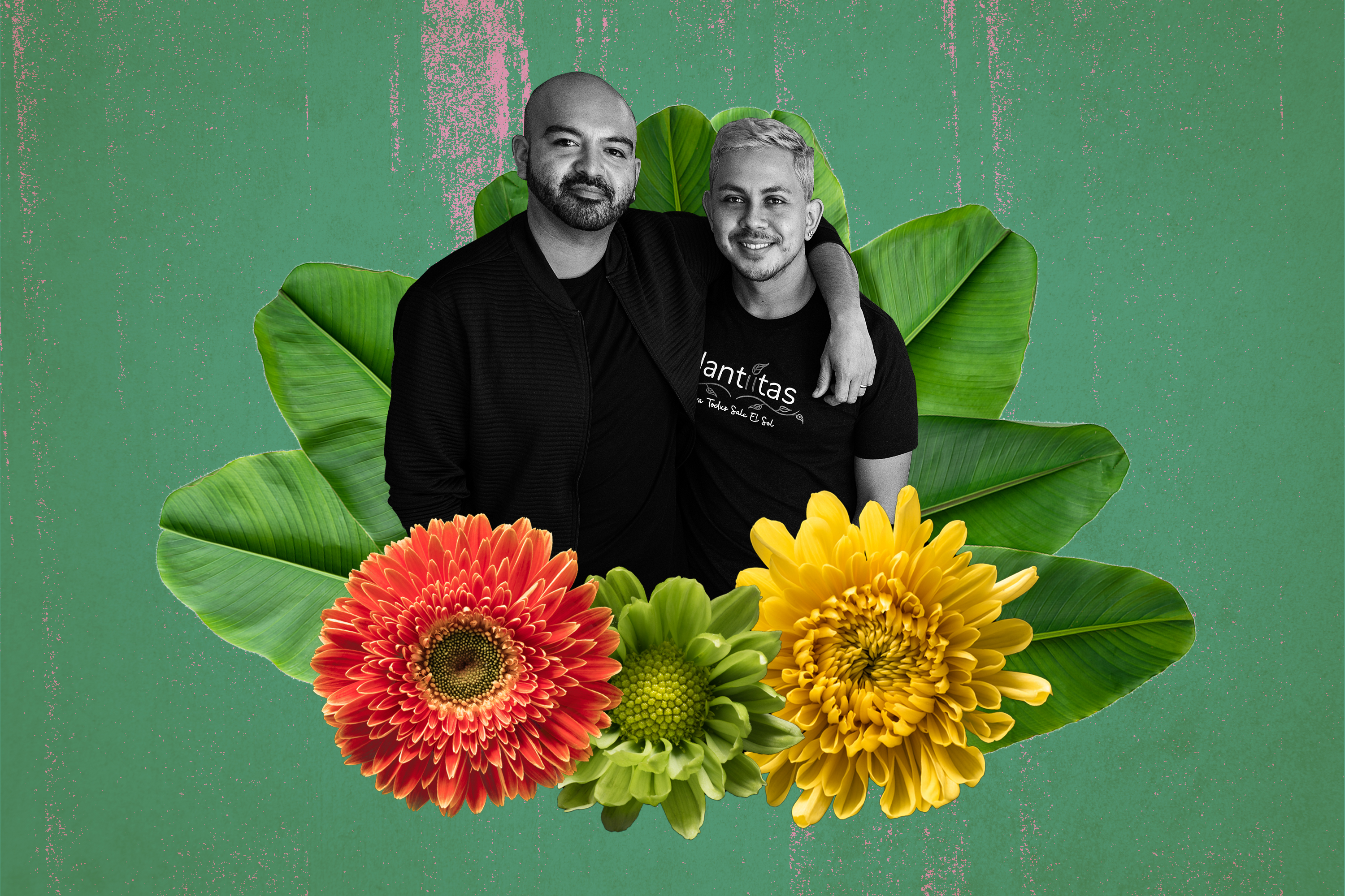 Queer, Latinx-owned Long Beach plant shop boosts inclusivity - Vimarsana News