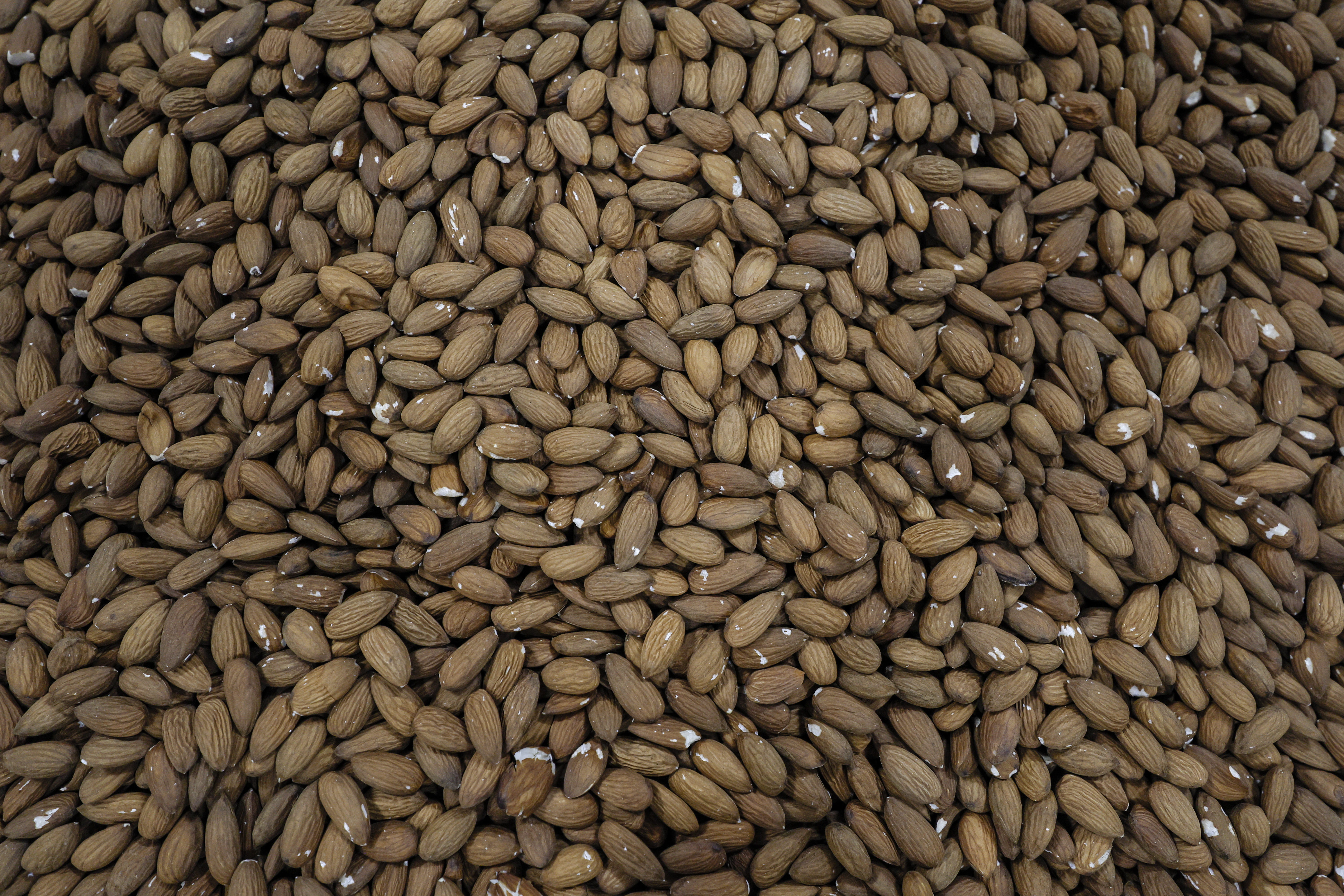 California almond growers are feeling the squeeze - Vimarsana News