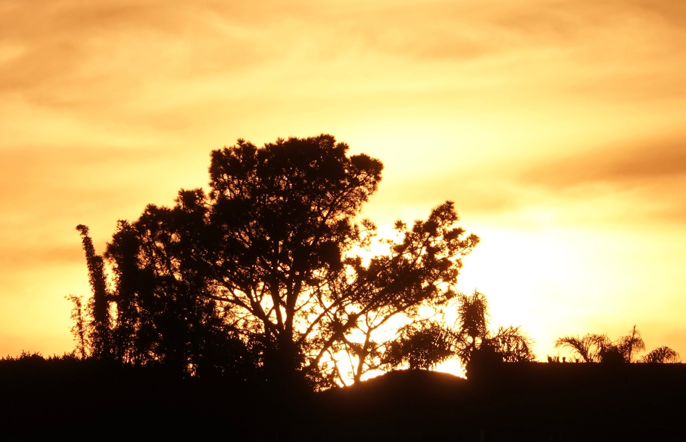 San Diego experiences hottest February day in history as temperature hits 91 - Vimarsana News