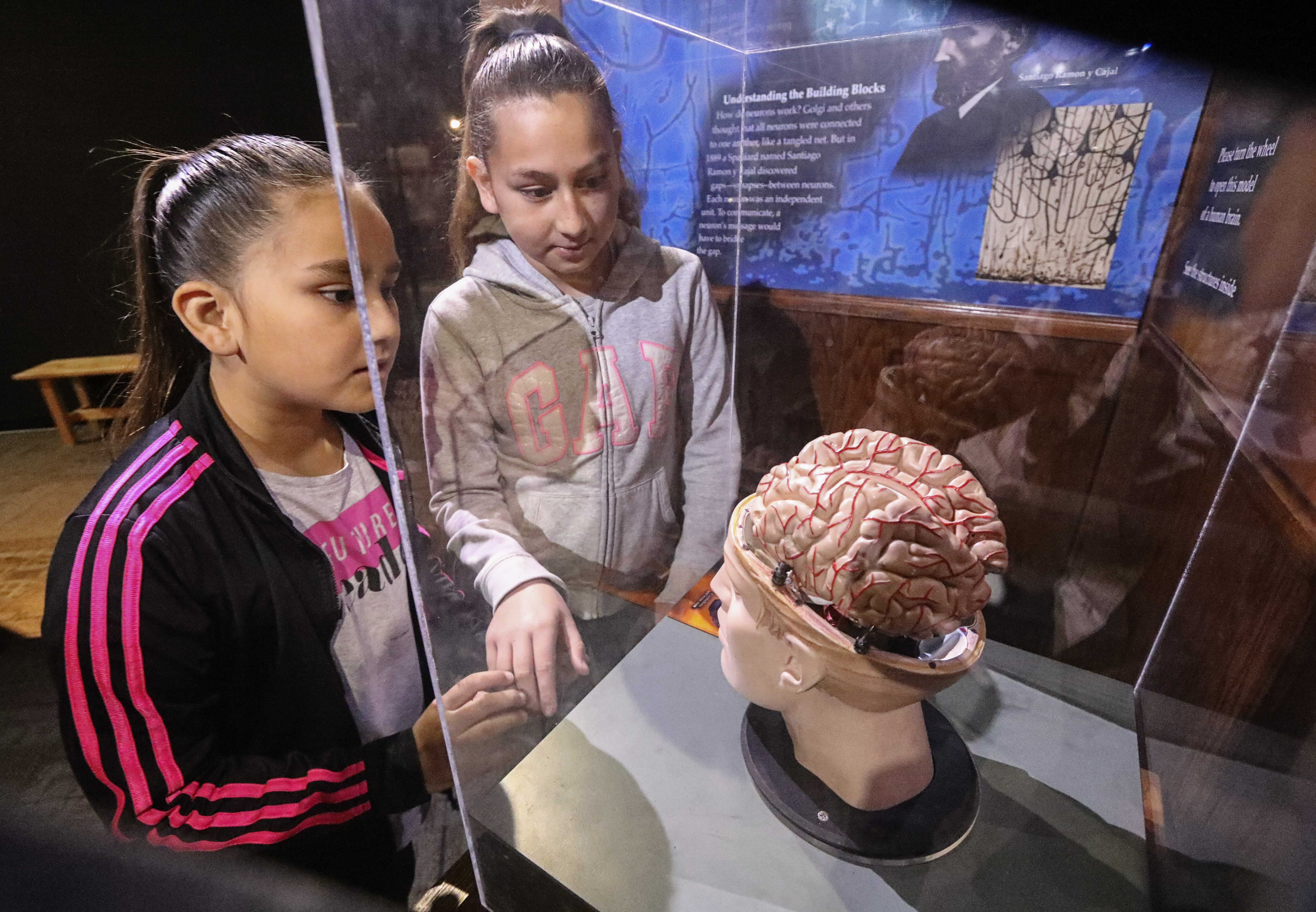 Opinion: San Diego is a city with strong resources in STEM. Here's how we make them more accessible. - Vimarsana News