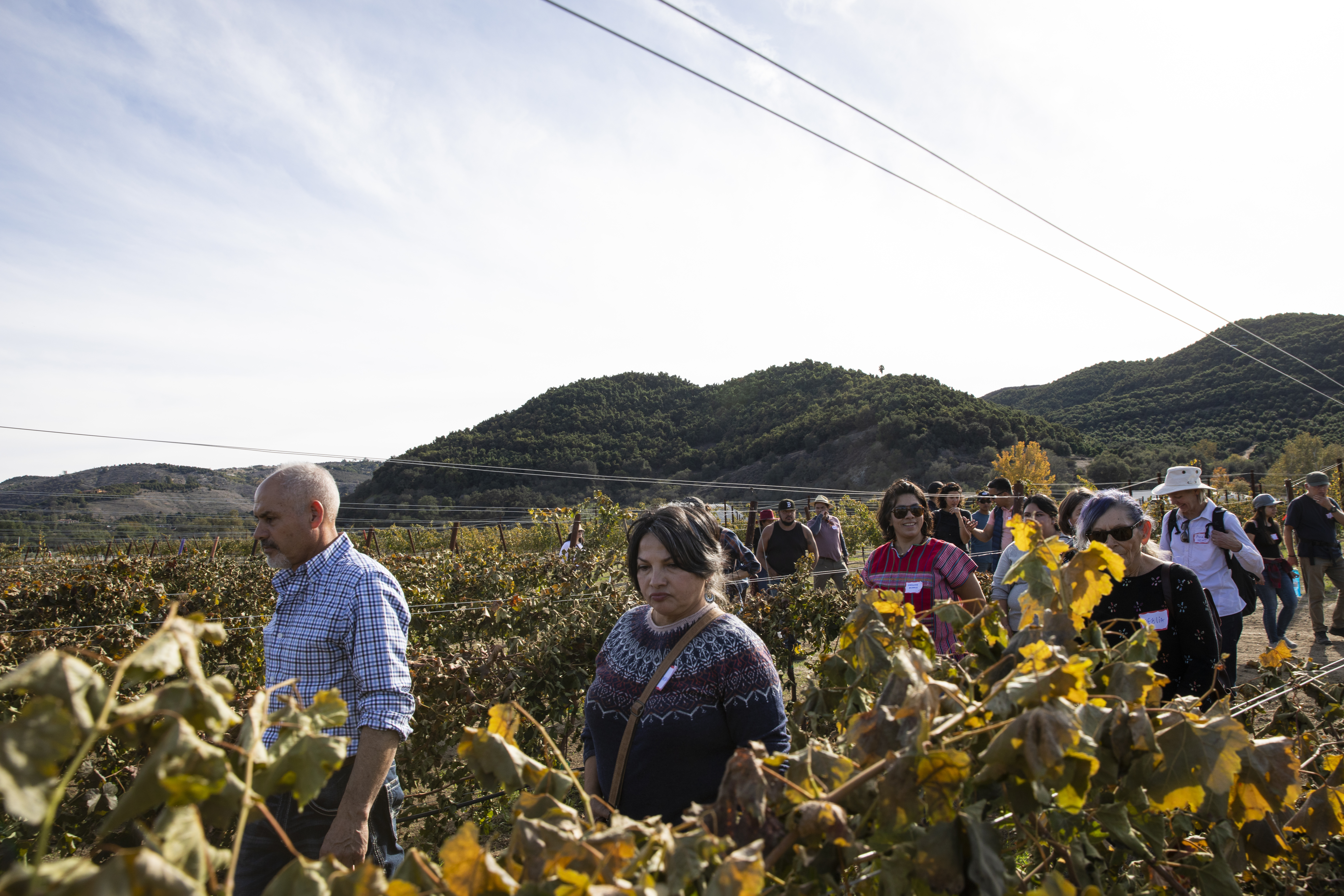 For these Latino and Indigenous farmers, the future of agriculture is about sustainability and giving back - Vimarsana News