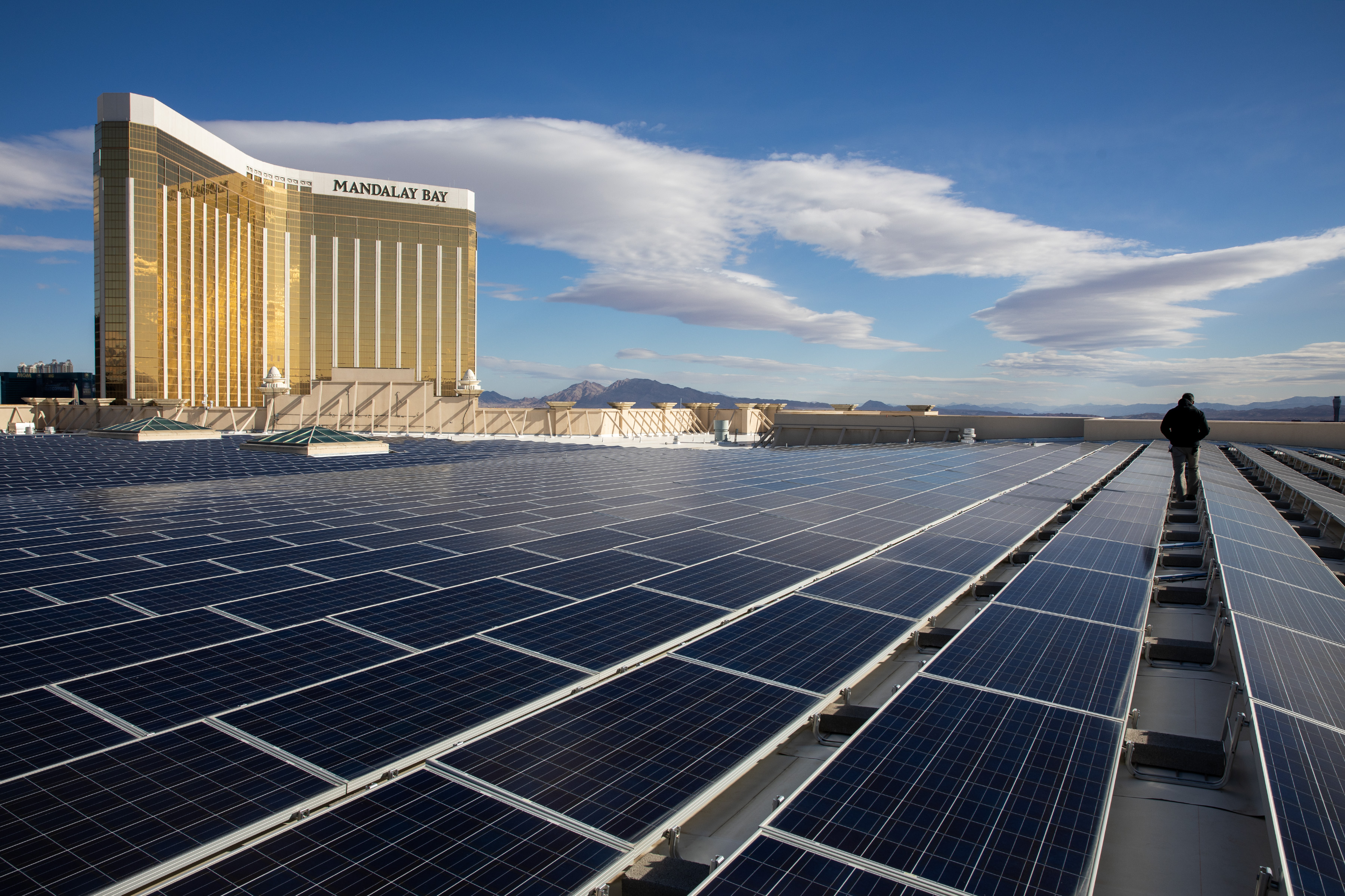 Today's Headlines: Solar sprawl is tearing up the Mojave Desert - Vimarsana News