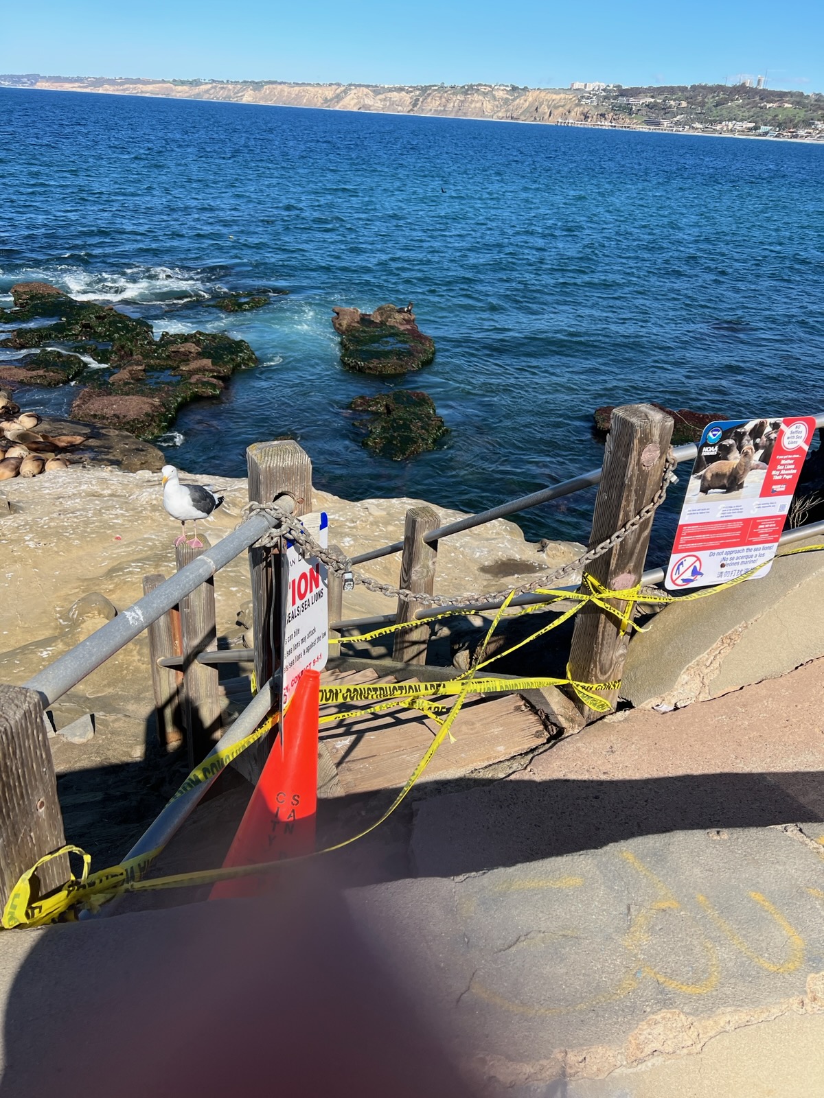 La Jolla News Nuggets: Point La Jolla stairs, film discussion, music festival, more - Vimarsana News