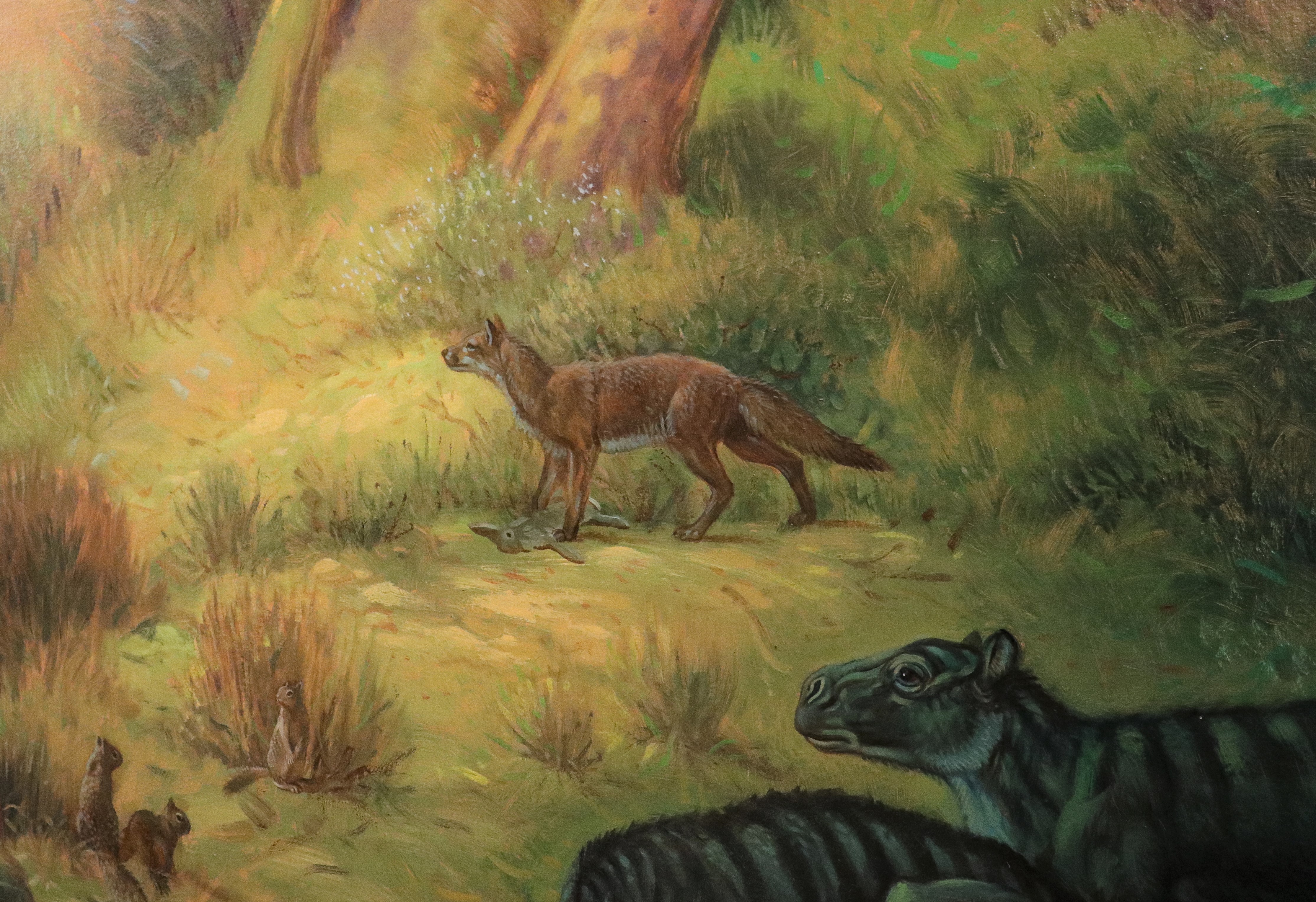 Rare fossil of ancient dog species discovered by San Diego paleontologists - Vimarsana News