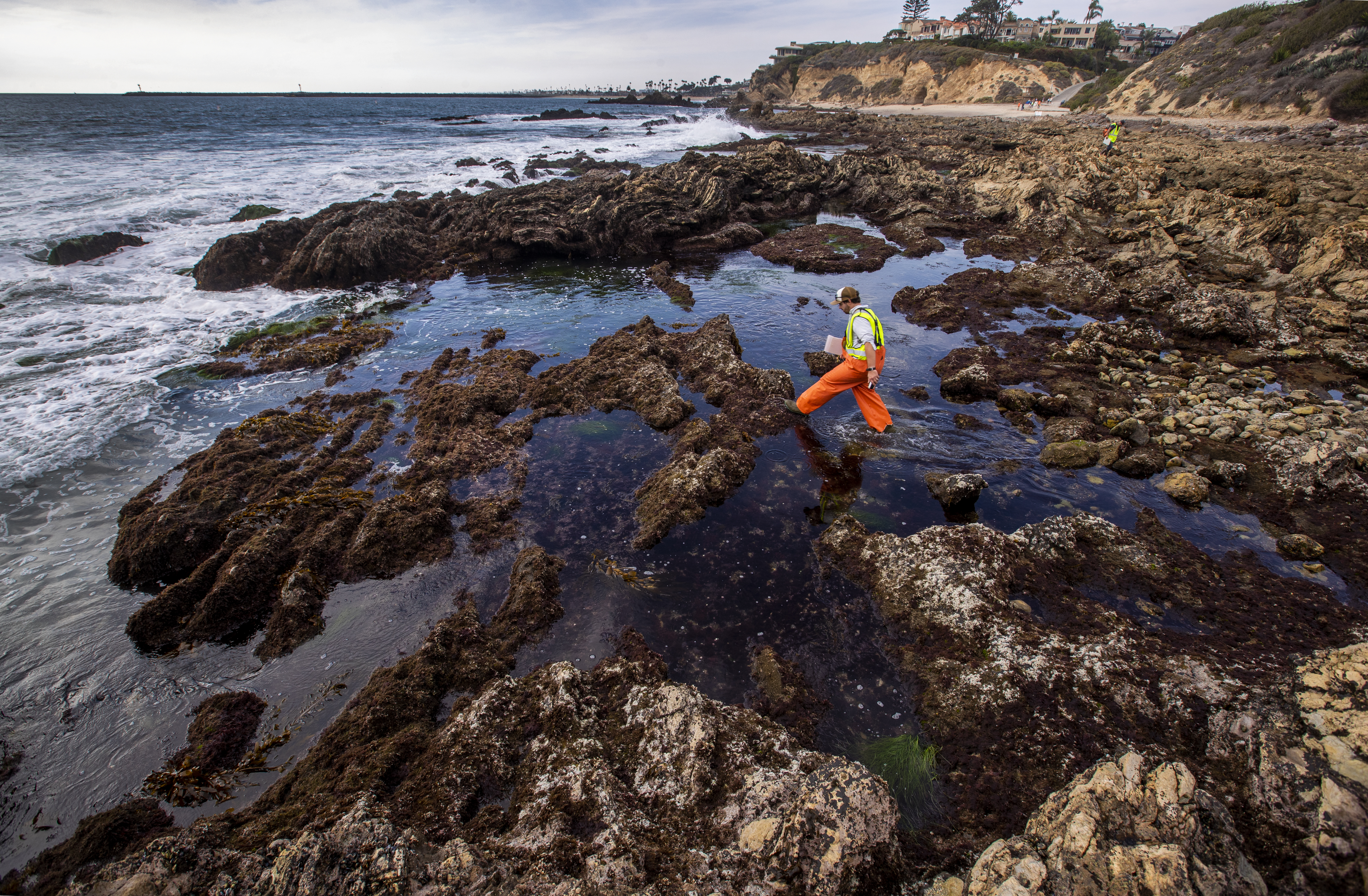 Oil spill puts spotlight on the magic and fragility of California's coast - Vimarsana News