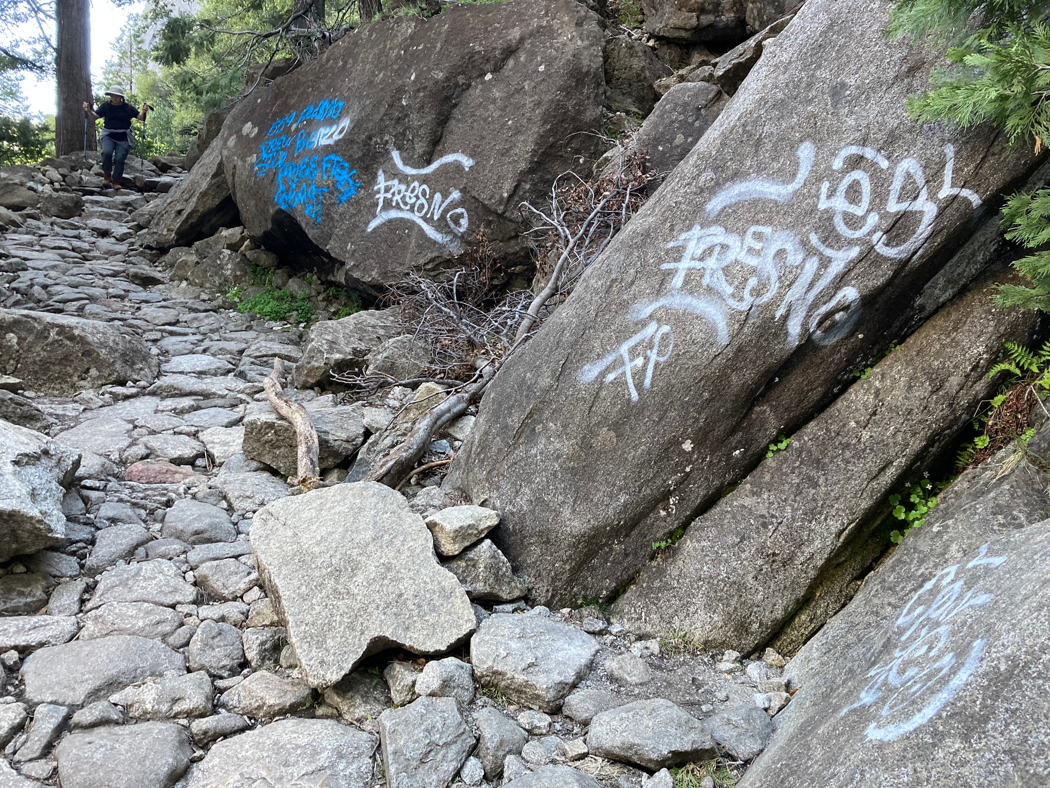 Commentary: Trashing our public parks - Vimarsana News