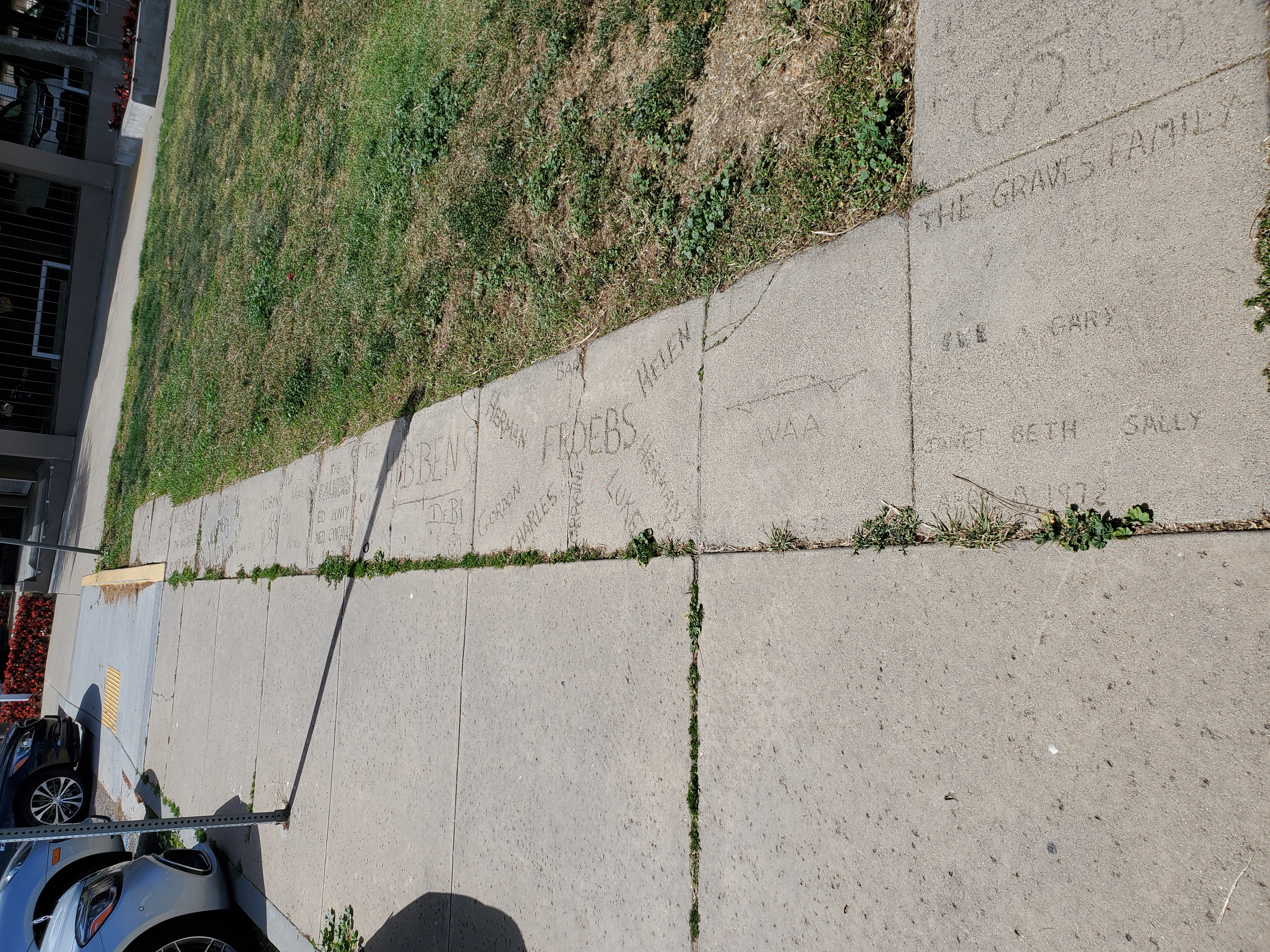 Mata Park at 50: A look at the concrete slabs that line La Jolla Shores pocket park from a half-century ago - Vimarsana News