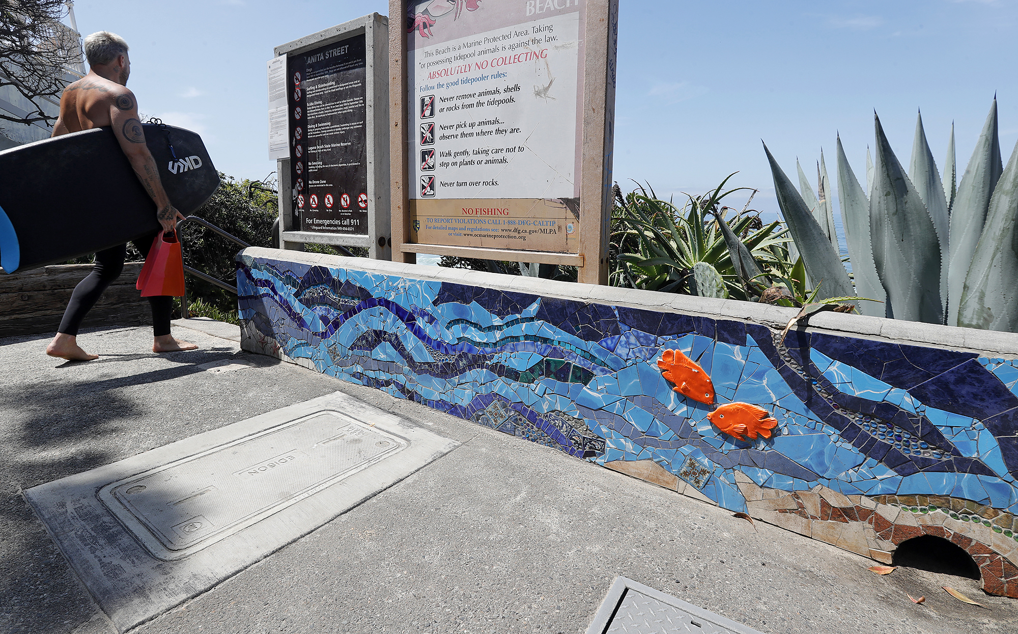 'Water Wall' mural to be taken down as part of Anita Street lift station project - Vimarsana News