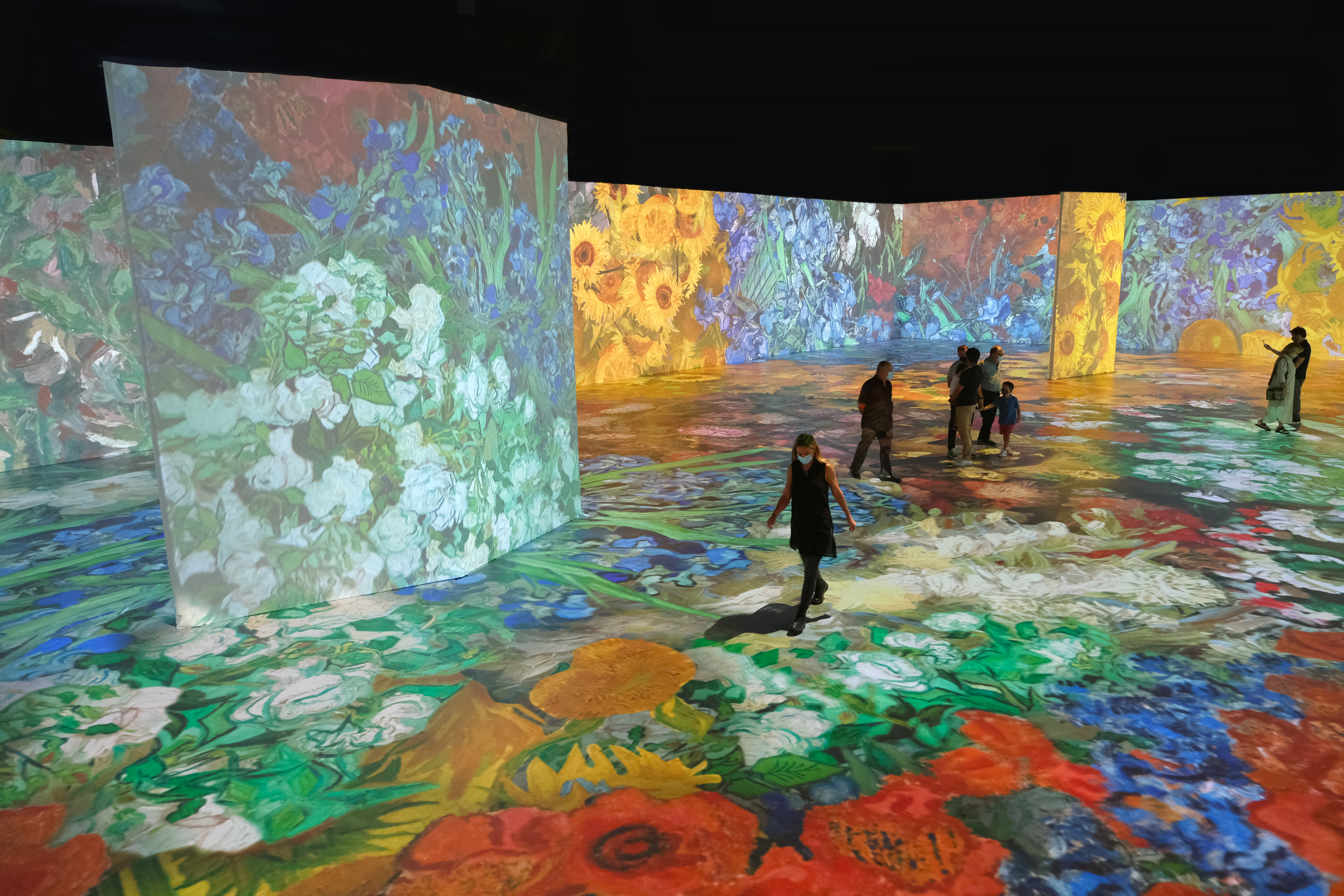 Show coming to Del Mar Fairgrounds offers immersive chance to get to know van Gogh - Vimarsana News
