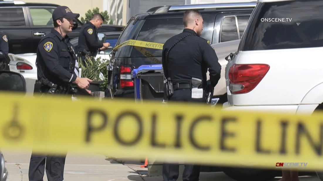 Fugitive arrested in connection with Mira Mesa stabbing that killed woman, 87, injured her daughter - Vimarsana News