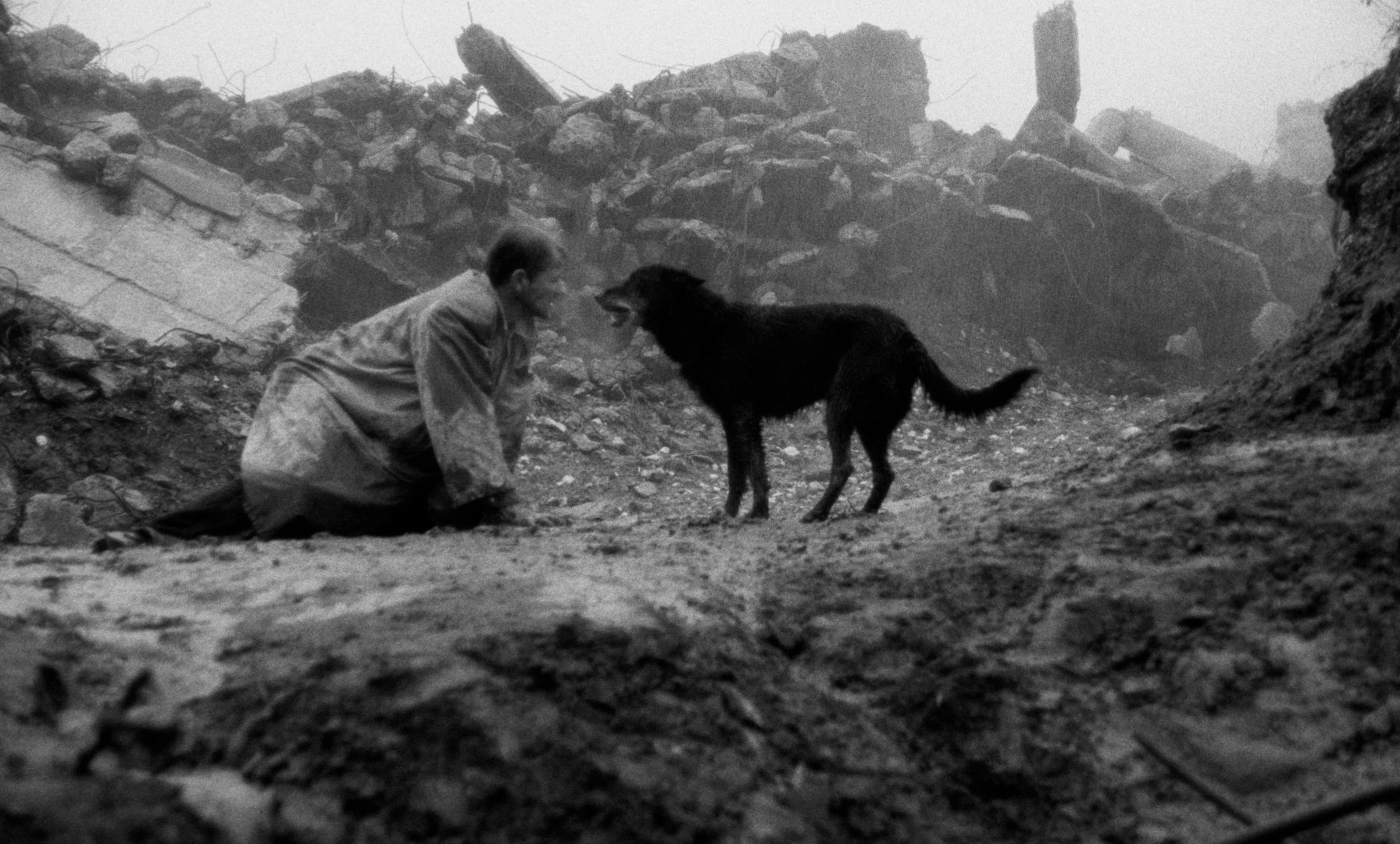 2020: The two best movie discoveries from film's lost year - Vimarsana News