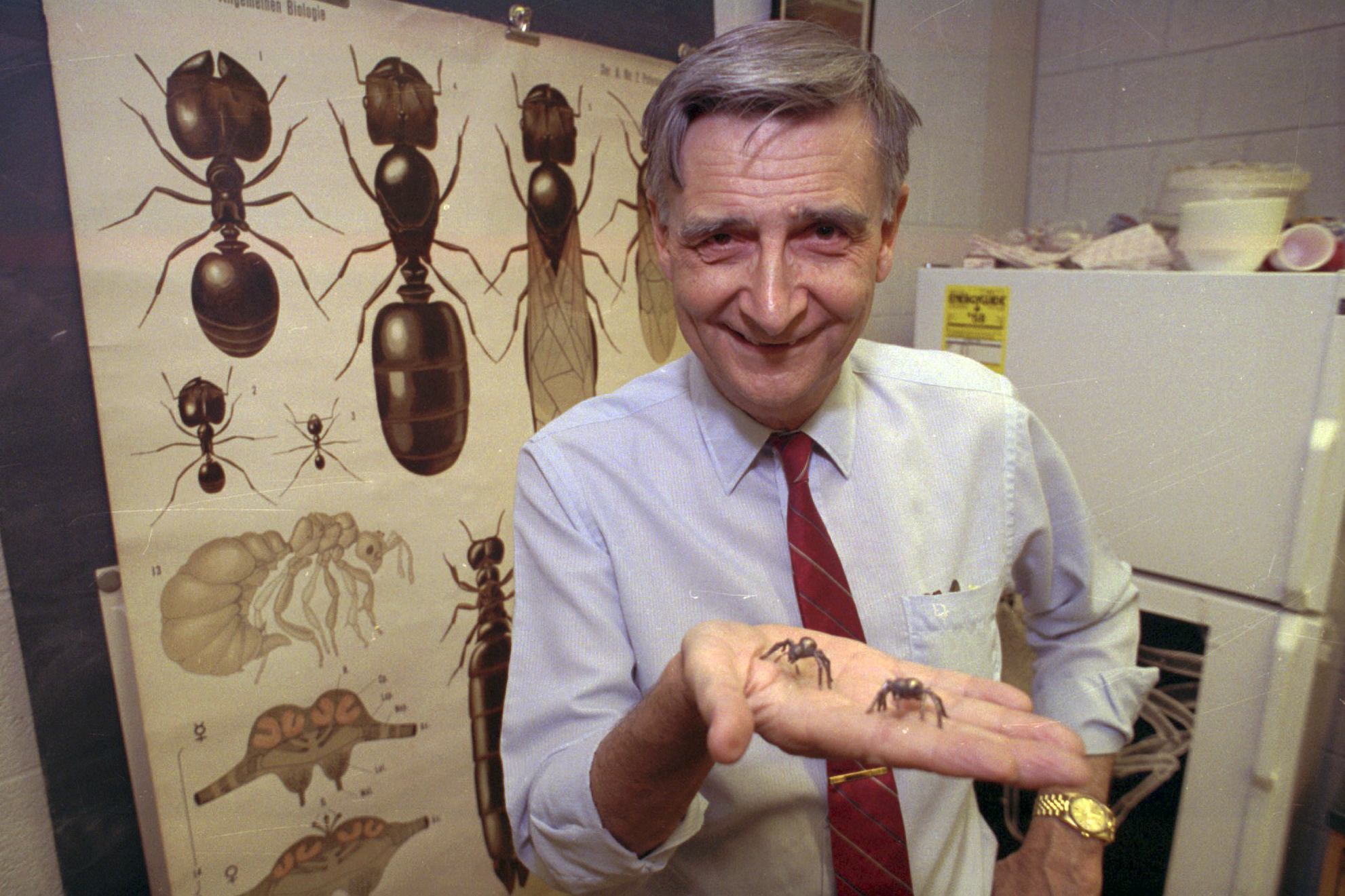 E.O. Wilson, biologist known as the 'ant man,' dies at 92 - Vimarsana News
