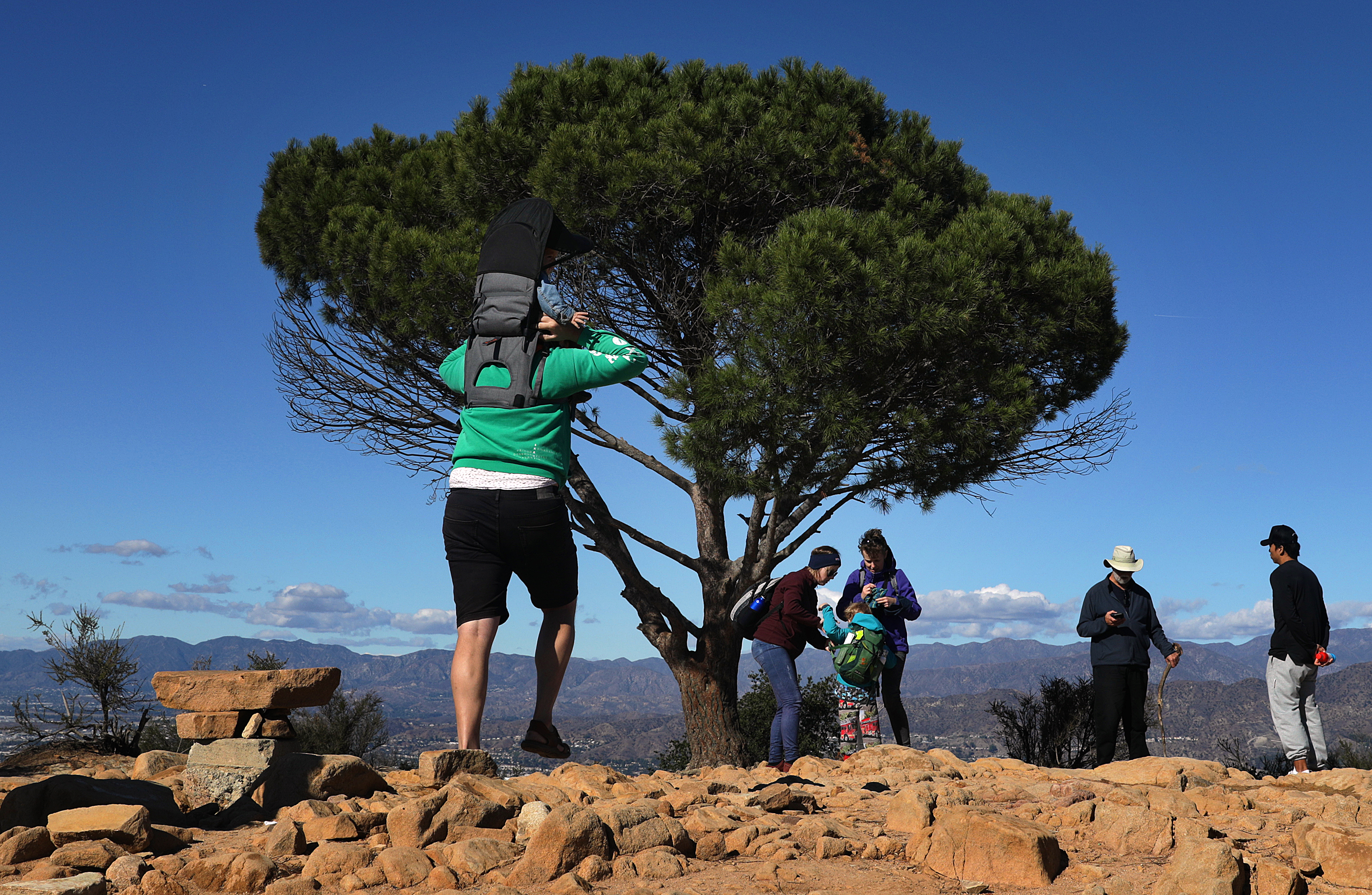 Column: L.A. Wisdom Tree hike calms post-election nerves - Vimarsana News