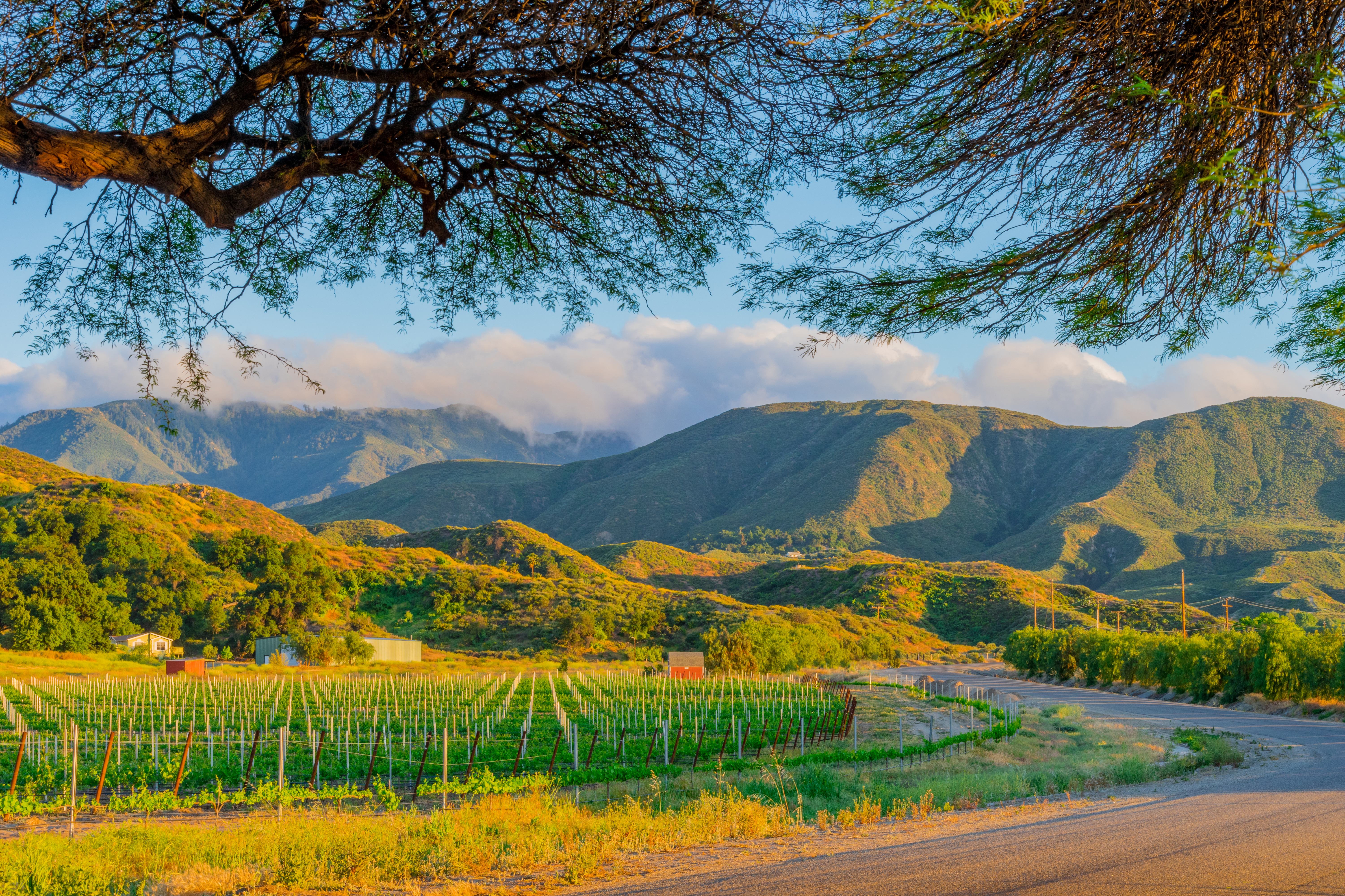 7 day trips from San Diego to consider this weekend - The San Diego Union-Tribune - Vimarsana News